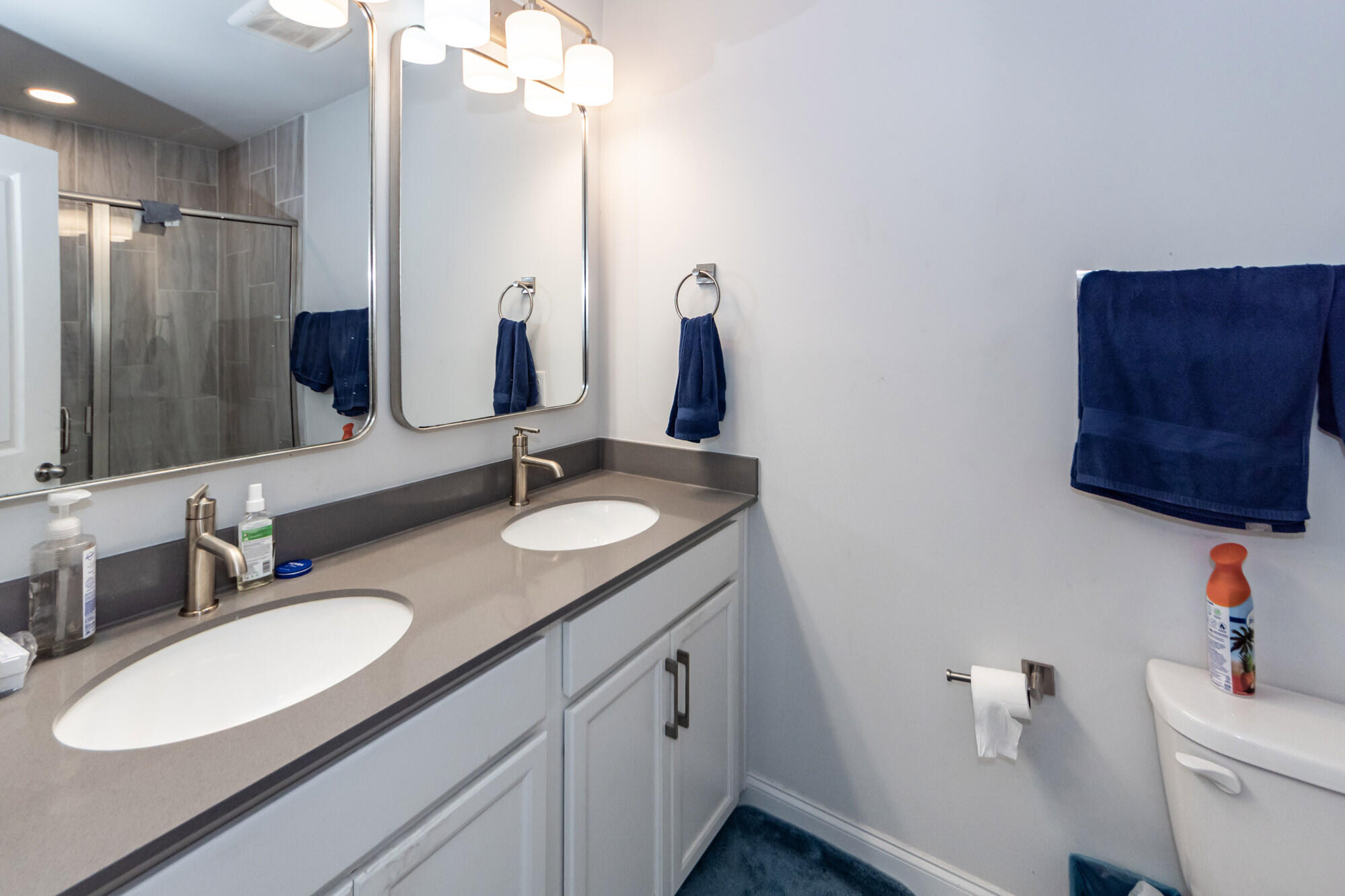 513 Green Fern Drive