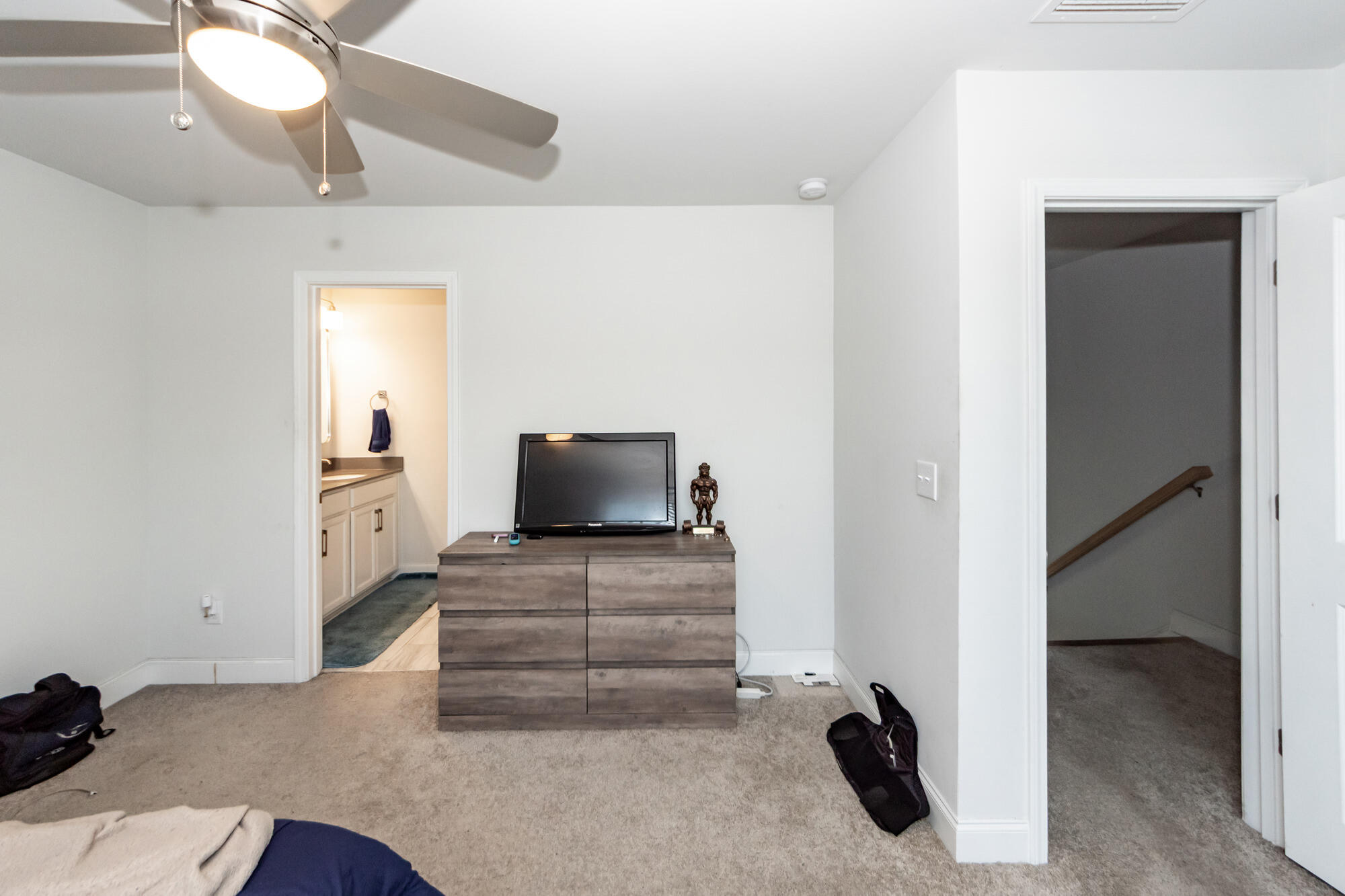 513 Green Fern Drive