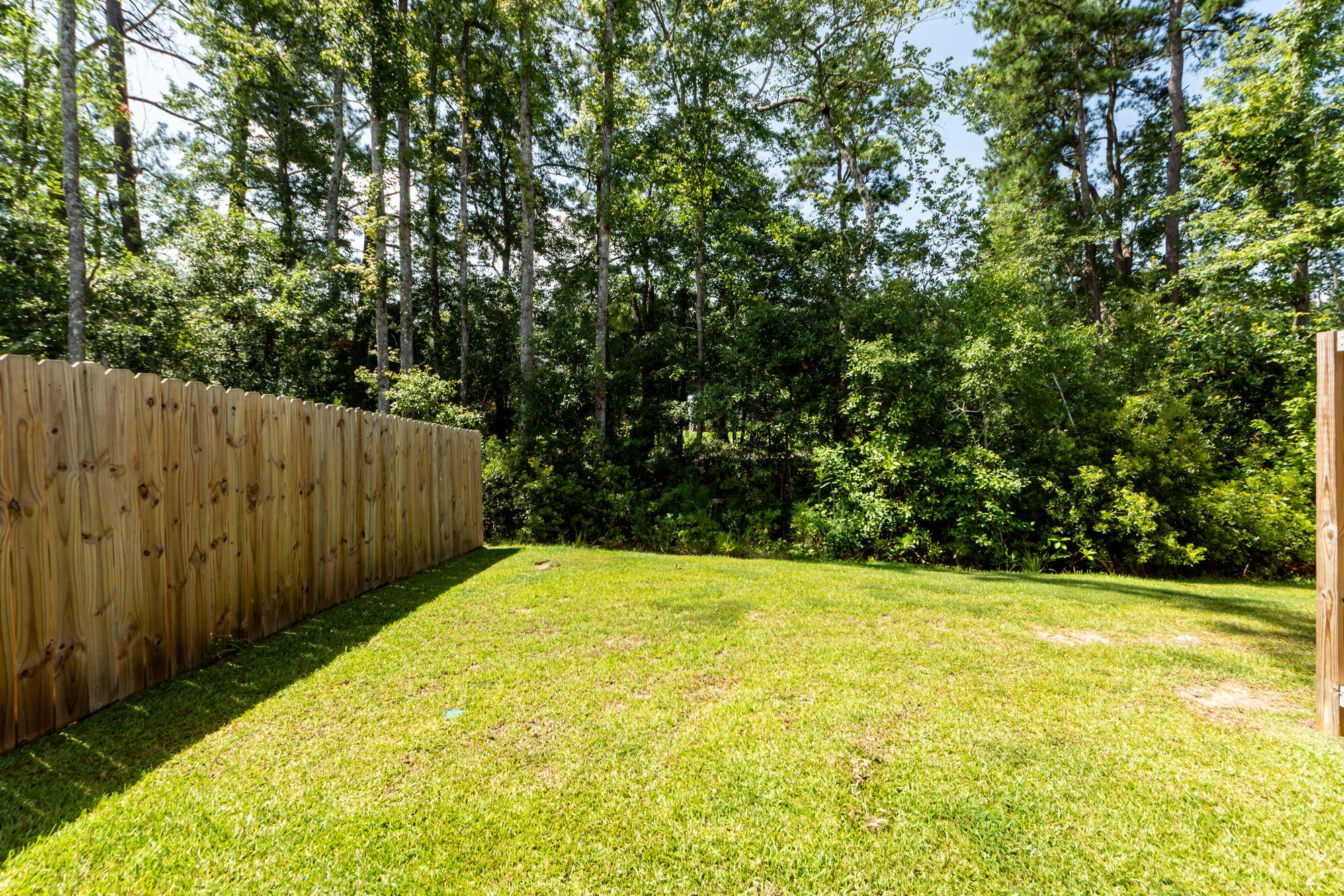 513 Green Fern Drive