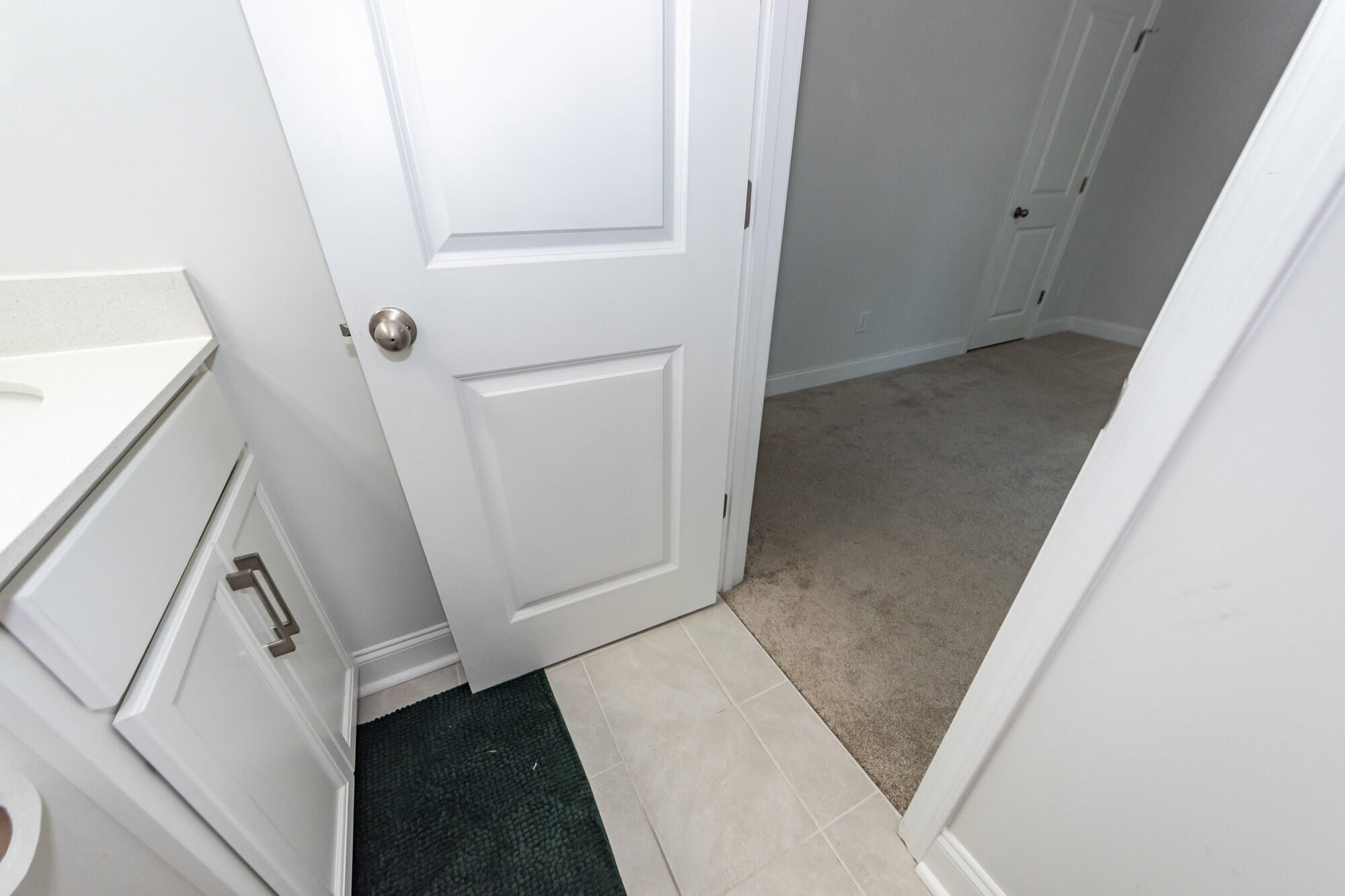 513 Green Fern Drive