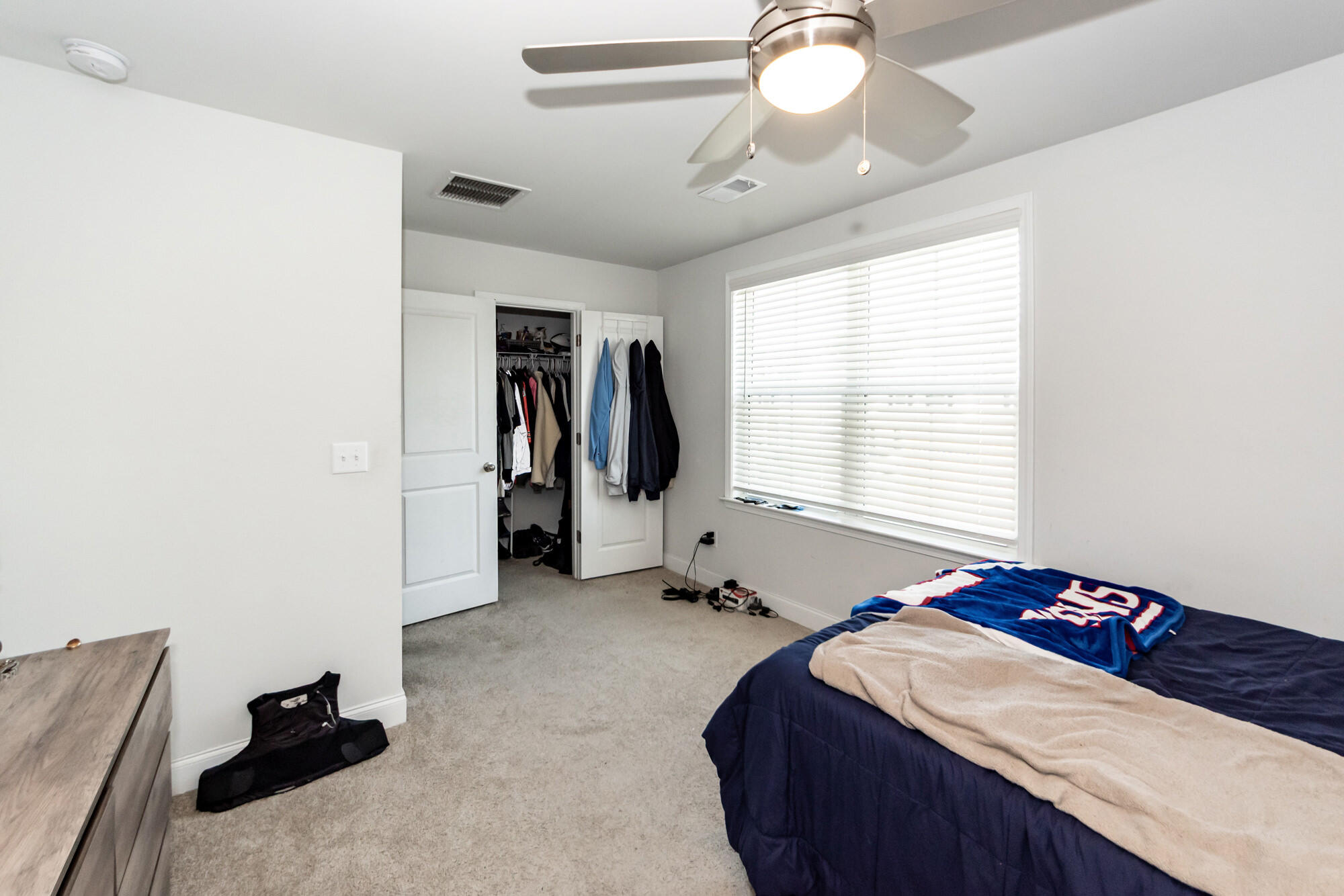513 Green Fern Drive