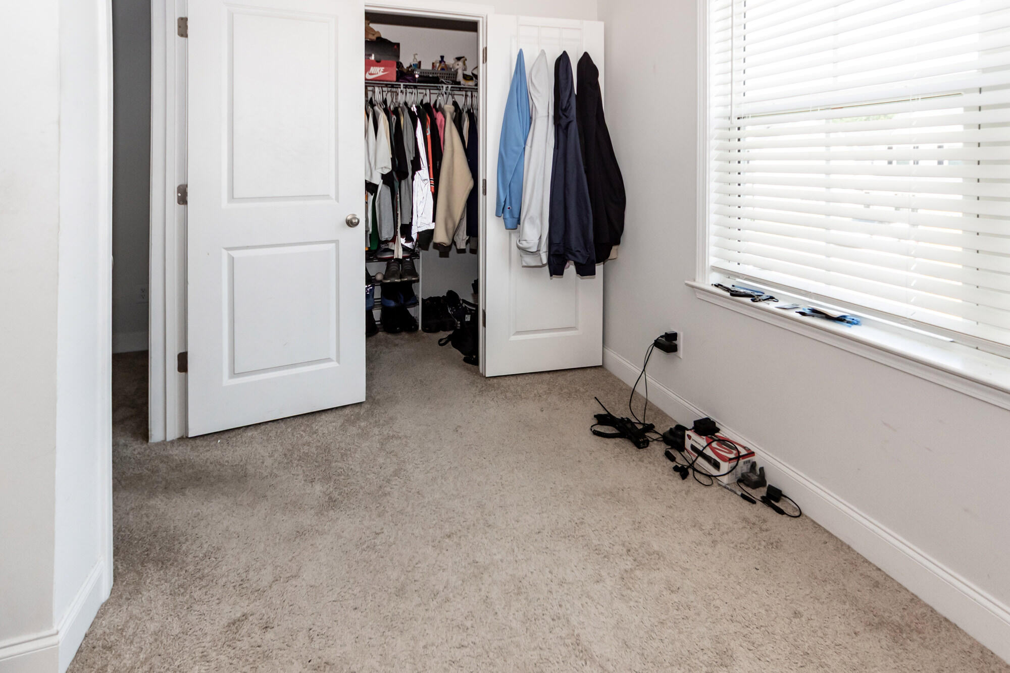 513 Green Fern Drive