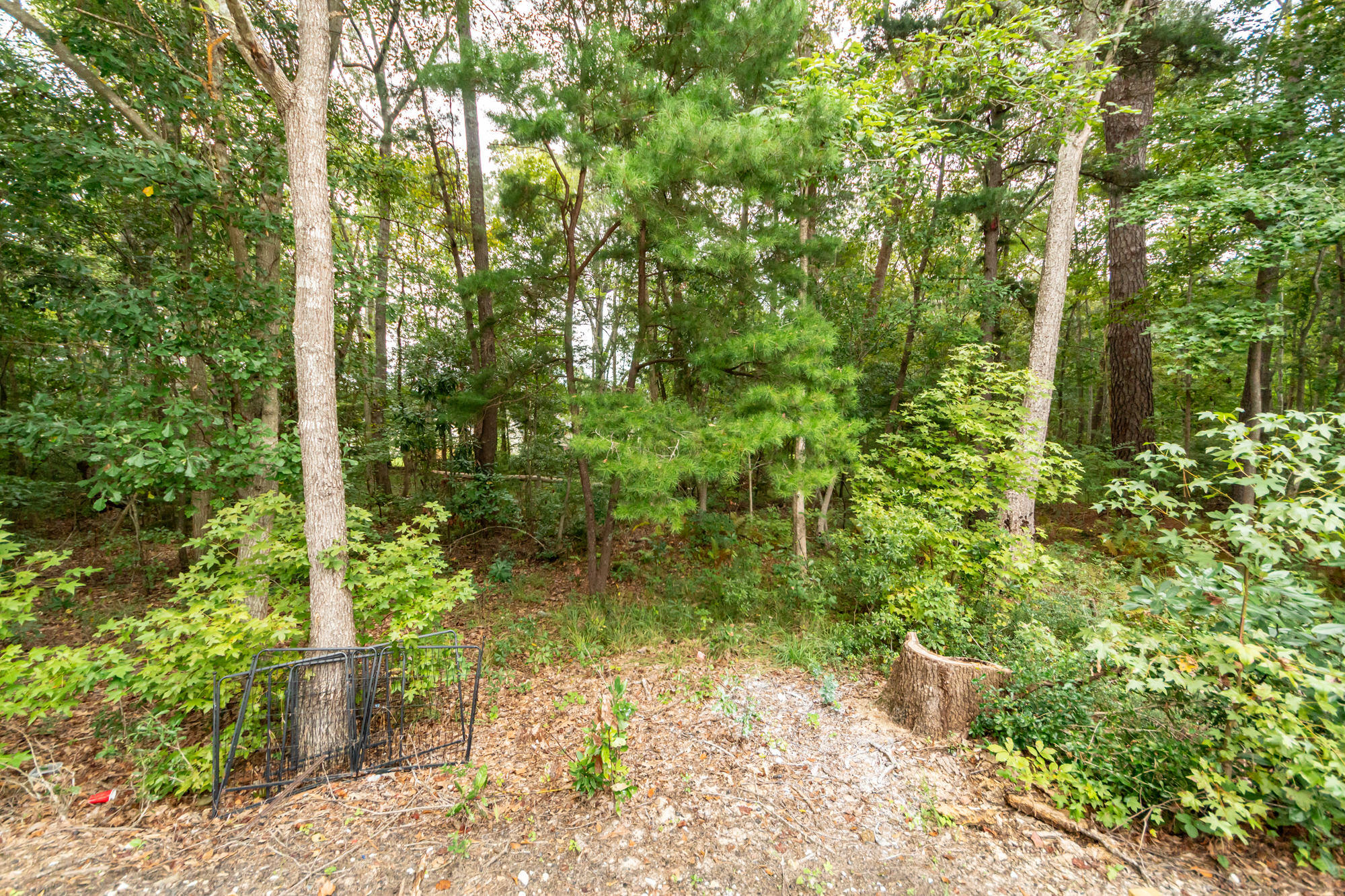 9454 Netted Charm Court