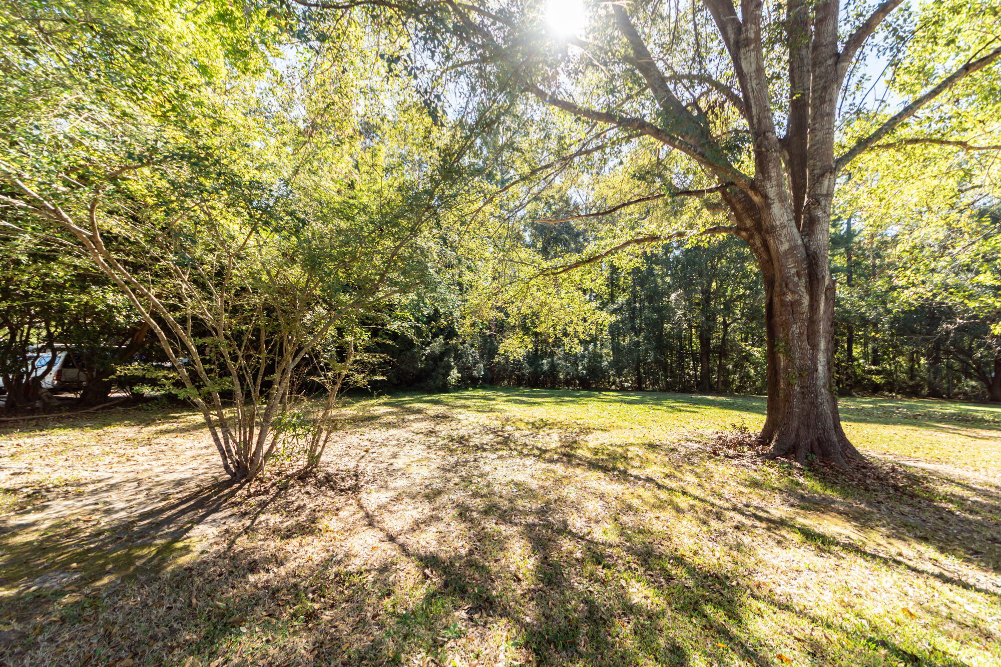 238 Allspice Drive