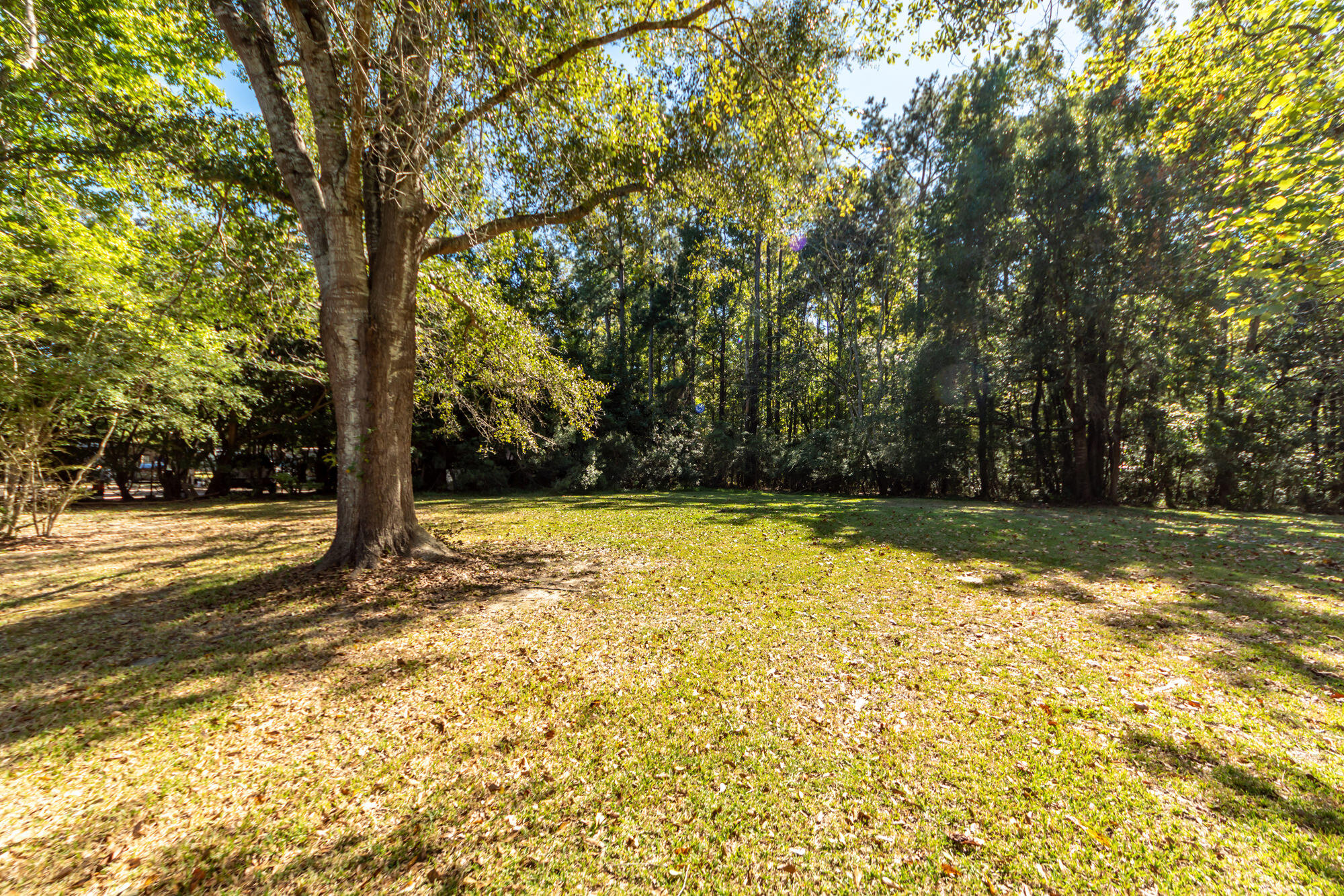 238 Allspice Drive