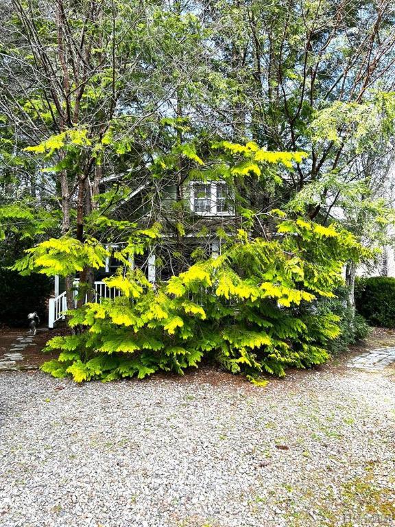 164 Caribou Mountain Road