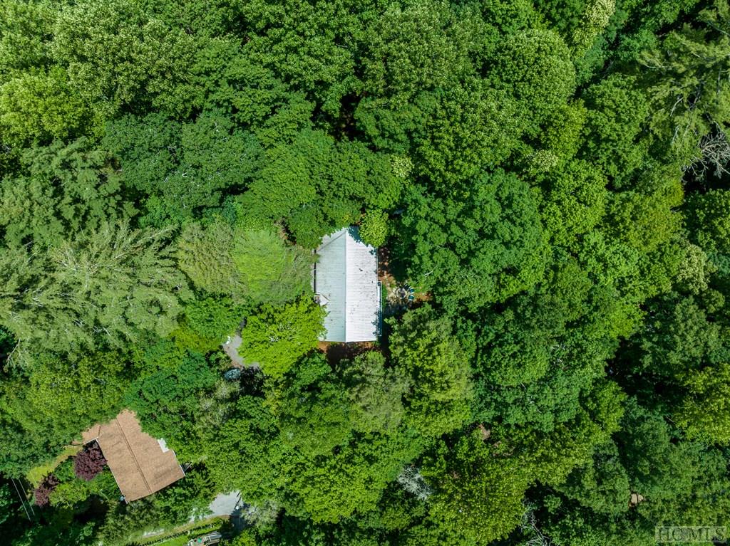 91 Dogwood Drive