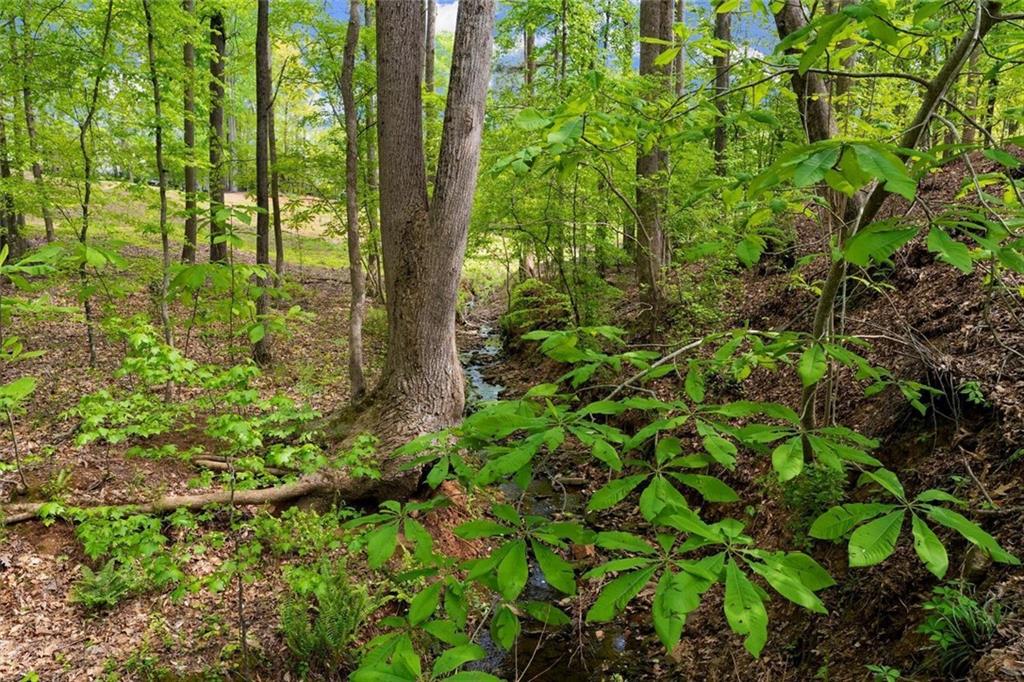 14355 Morning Mountain Way