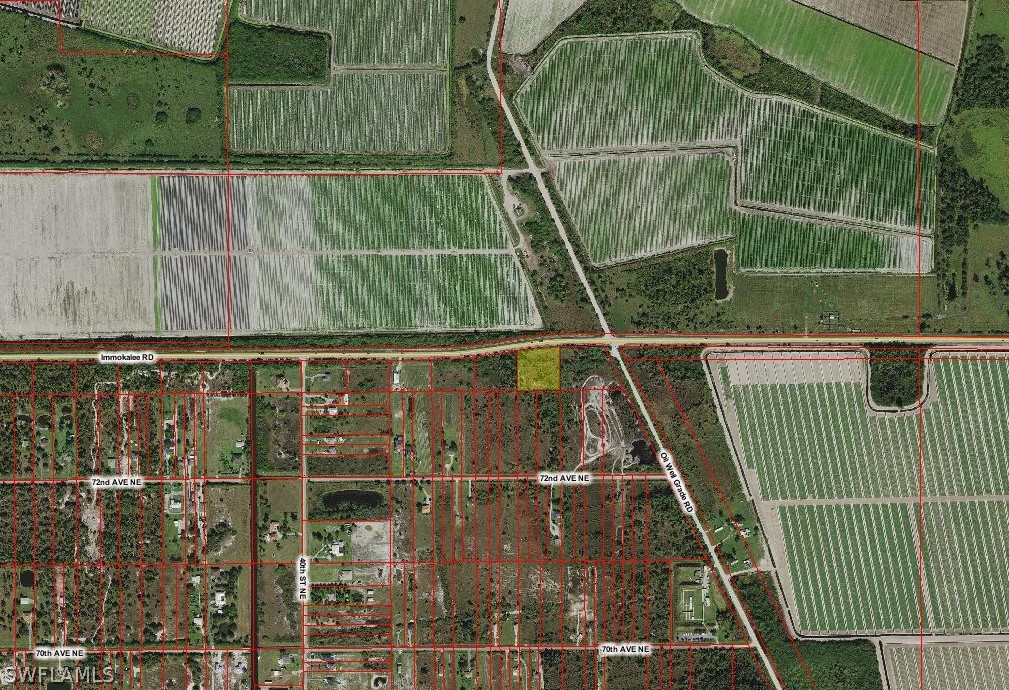Immokalee RD