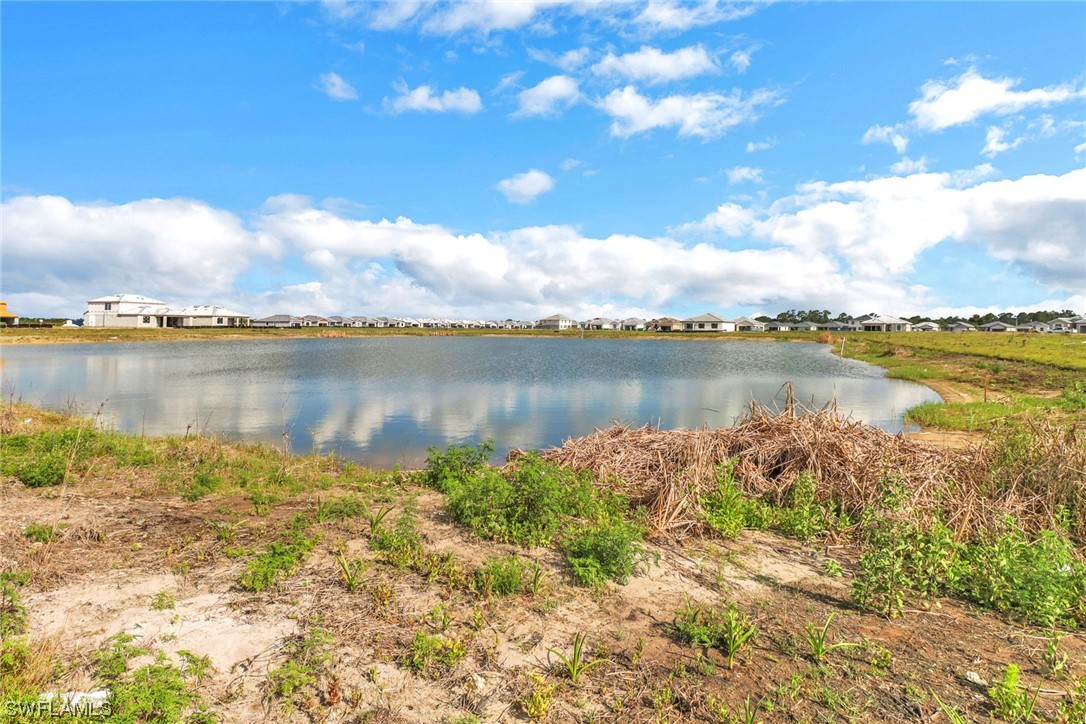 16202 Bacopa DR