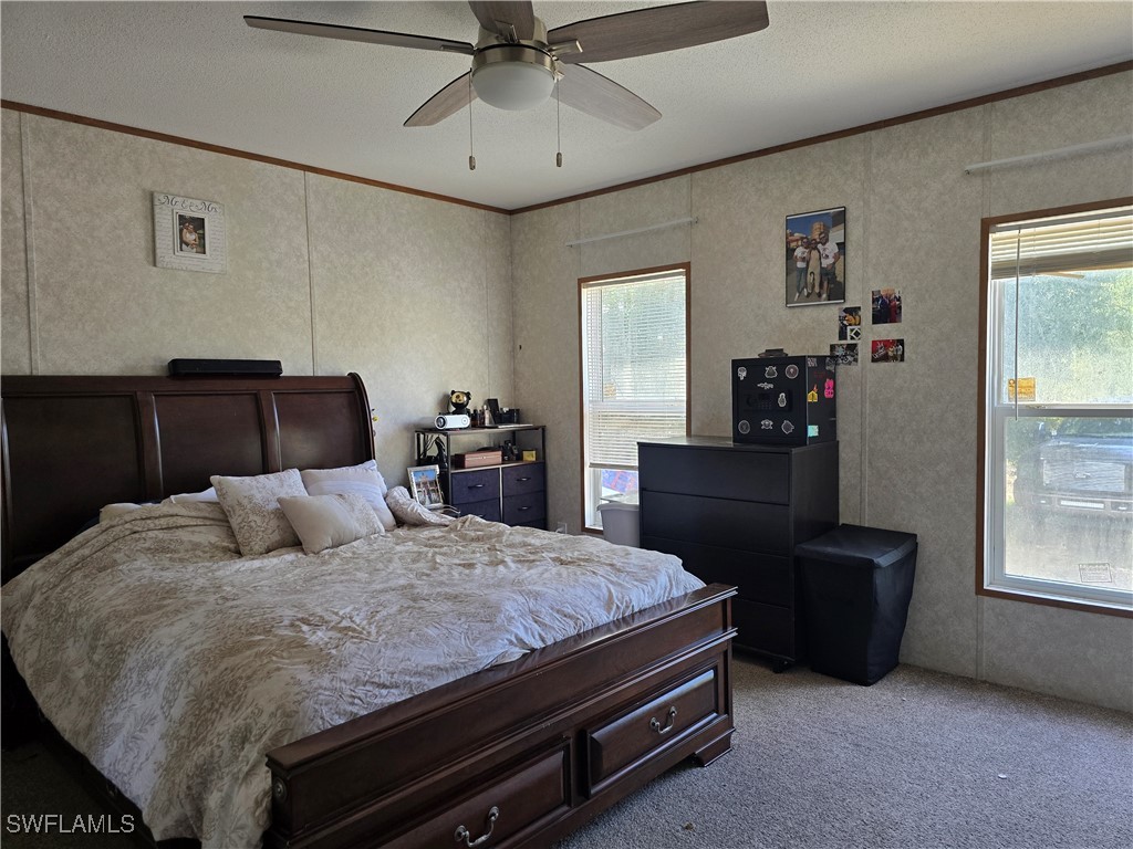 22815 Tinas LN