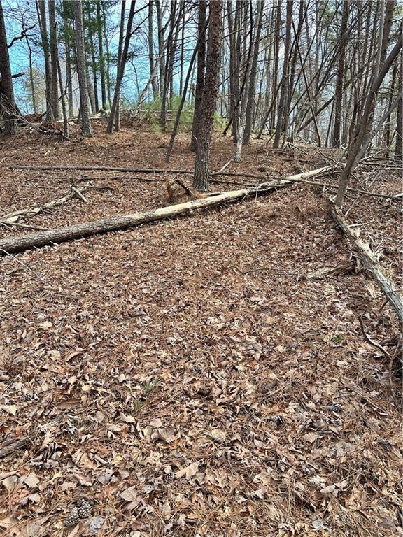 0 Log Swamp Dr. Drive