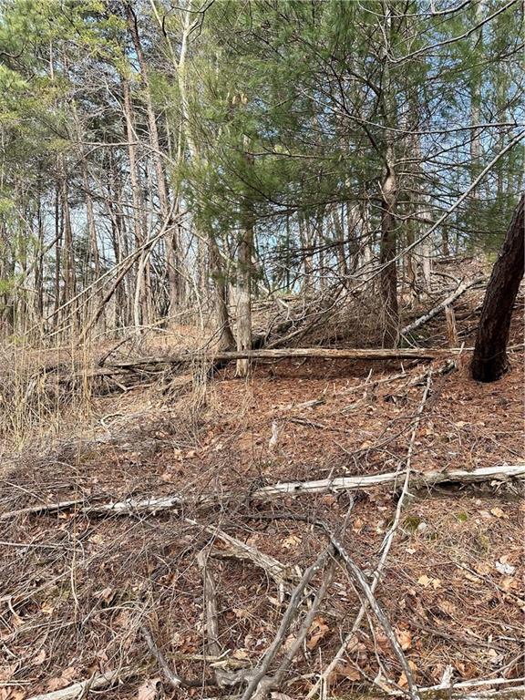 0 Log Swamp Dr. Drive
