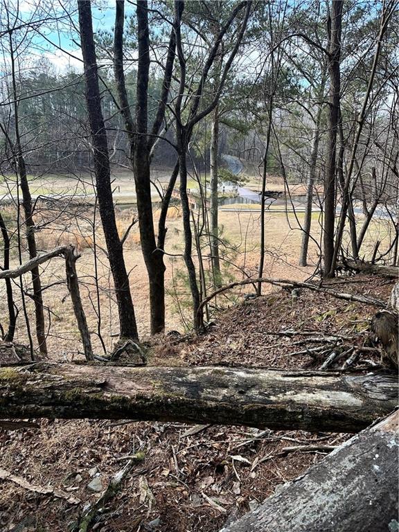 0 Log Swamp Dr. Drive