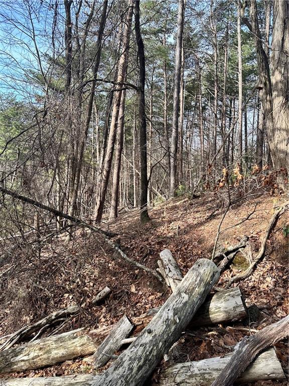 0 Log Swamp Dr. Drive