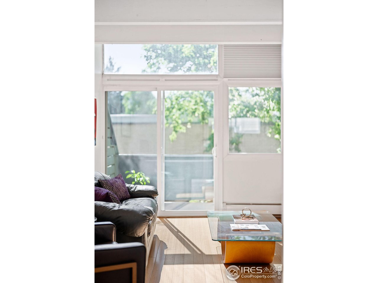 1842 Canyon Blvd 211