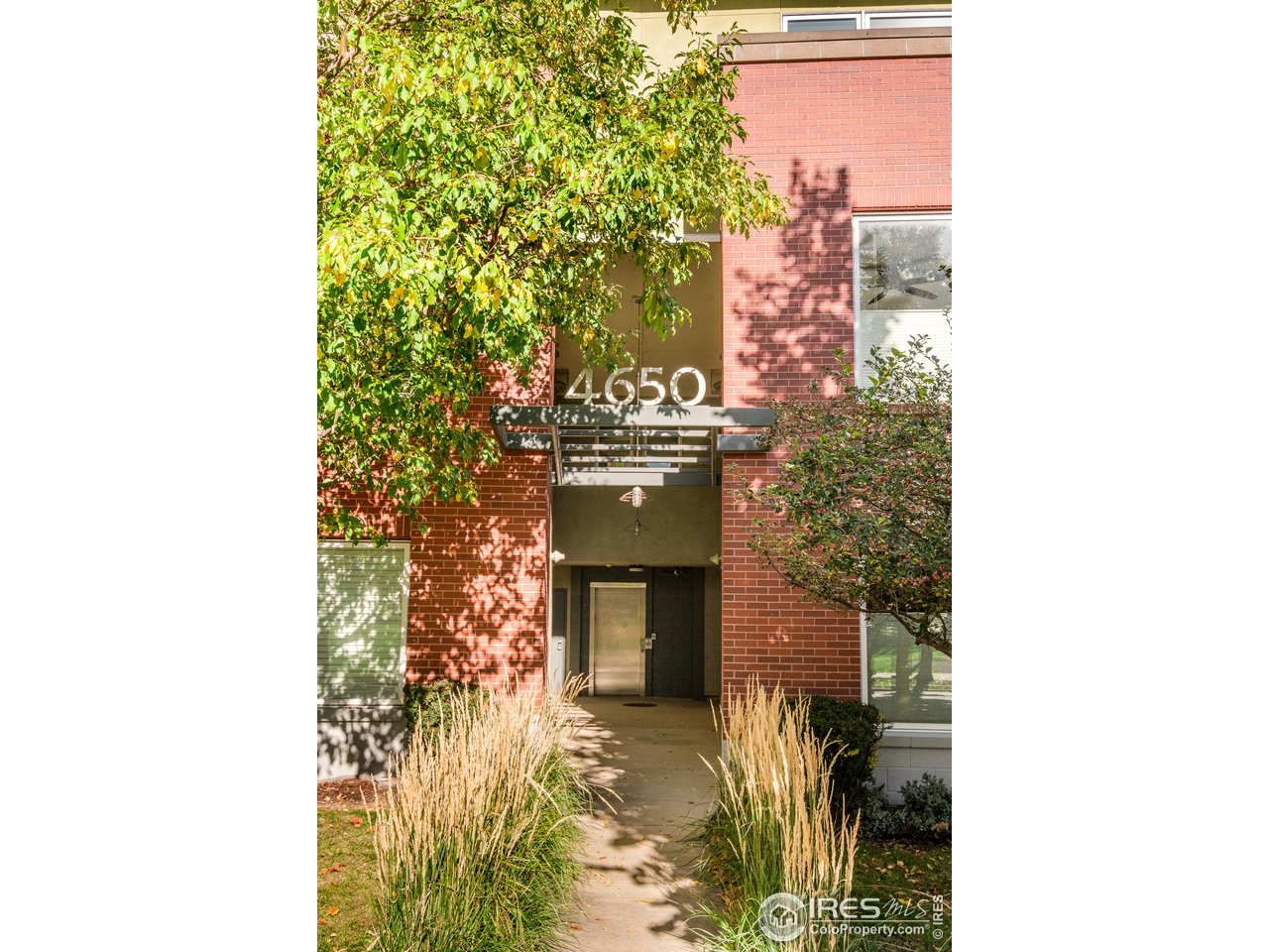 4650 Holiday Dr 301