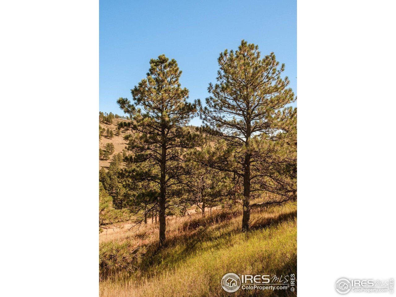 6365 Red Hill Rd Boulder