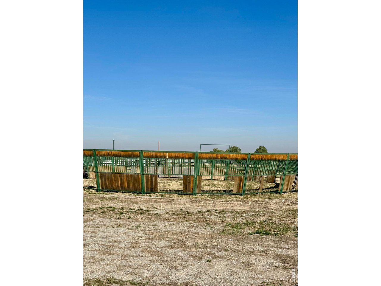 11534 Eagle Springs Trl