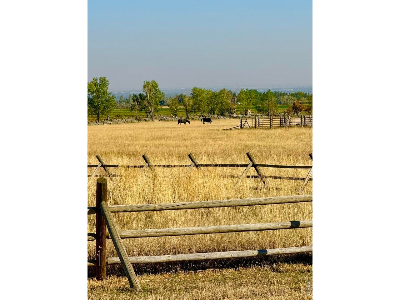 11534 Eagle Springs Trl