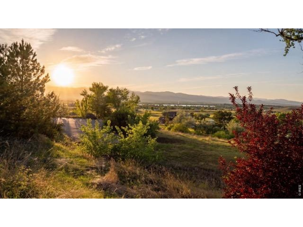 7257 Spring Ct