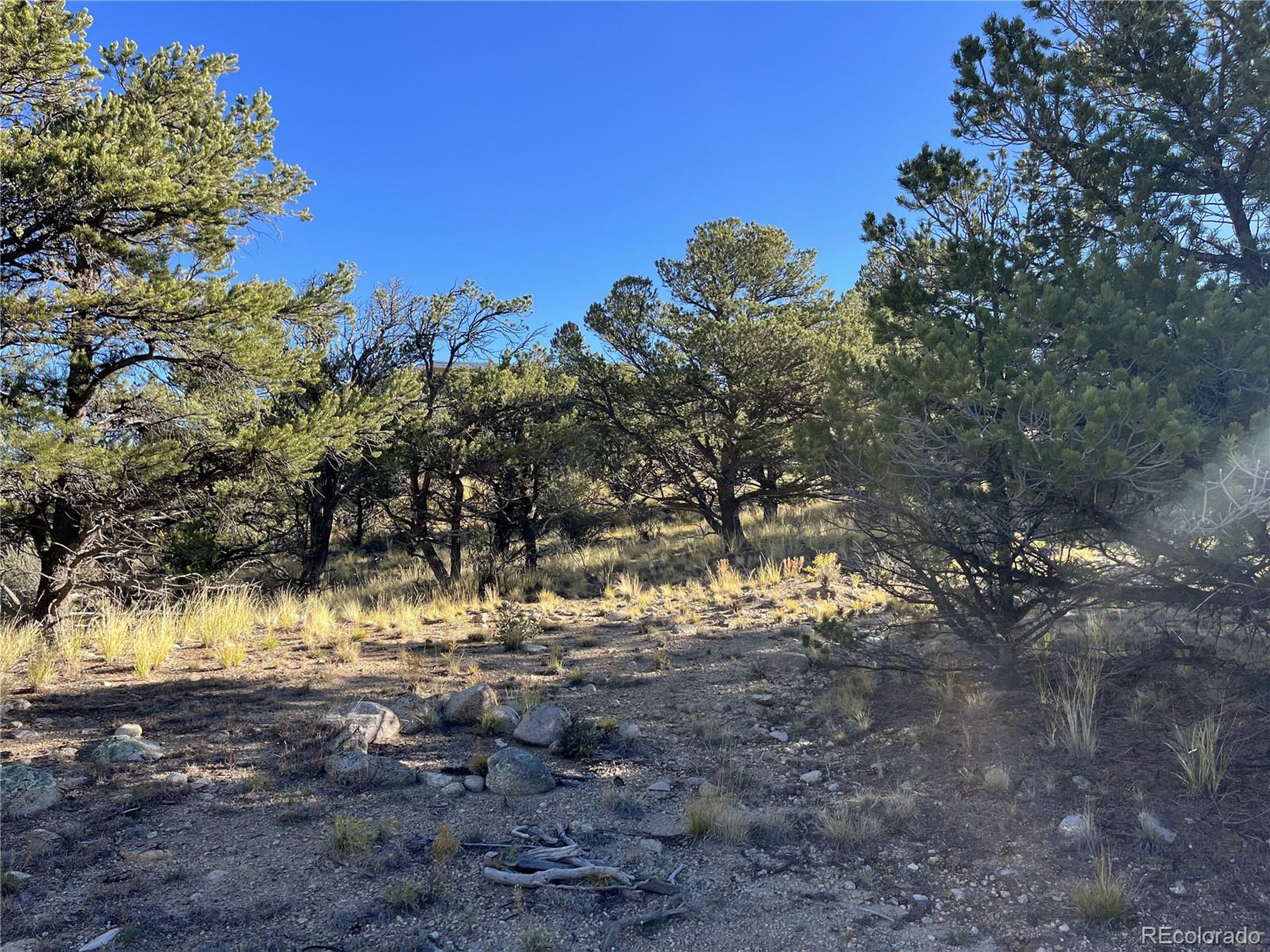 (TBD) TBD Chalk Creek Dr