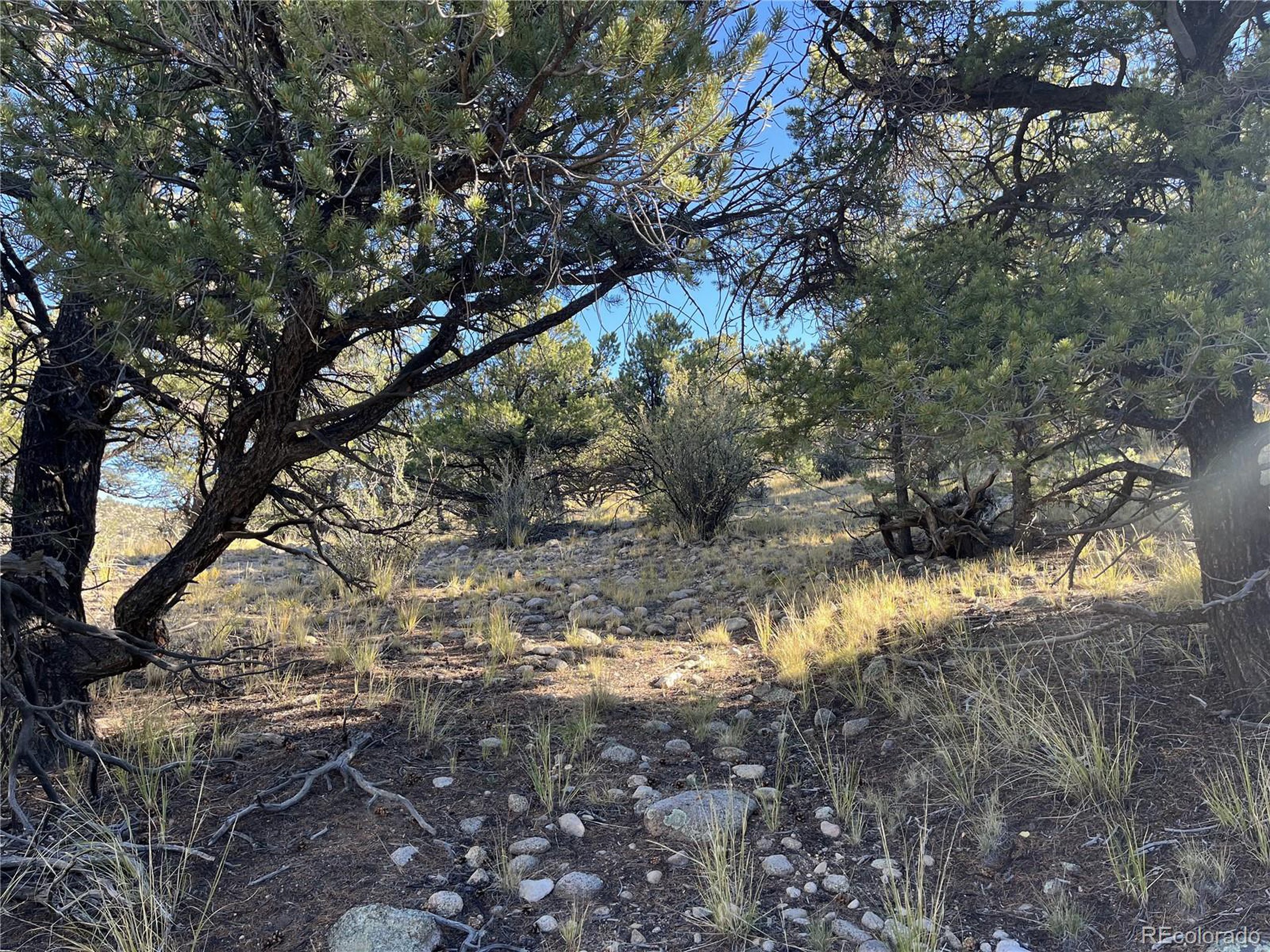 (TBD) TBD Chalk Creek Dr