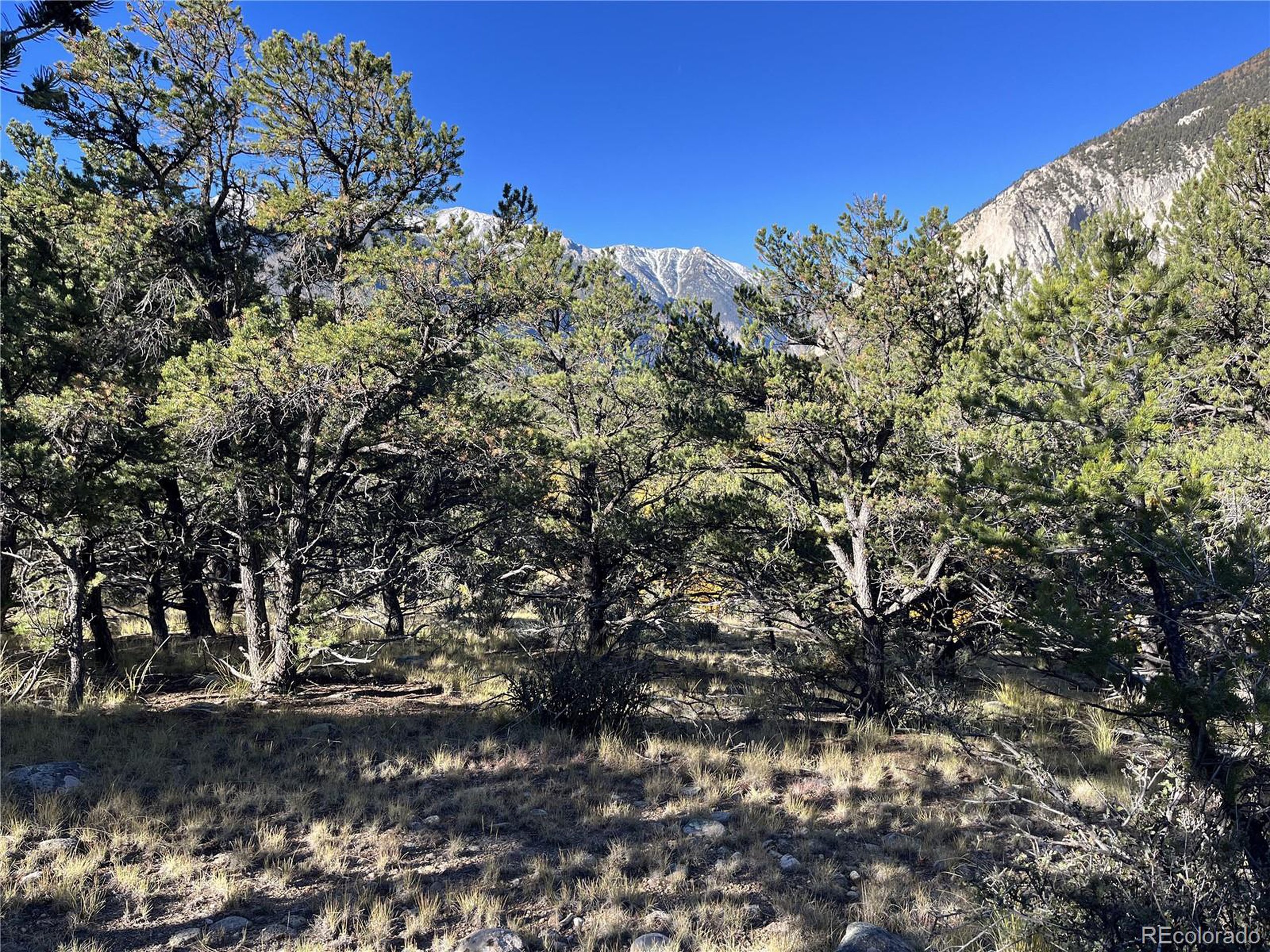 (TBD) TBD Chalk Creek Dr