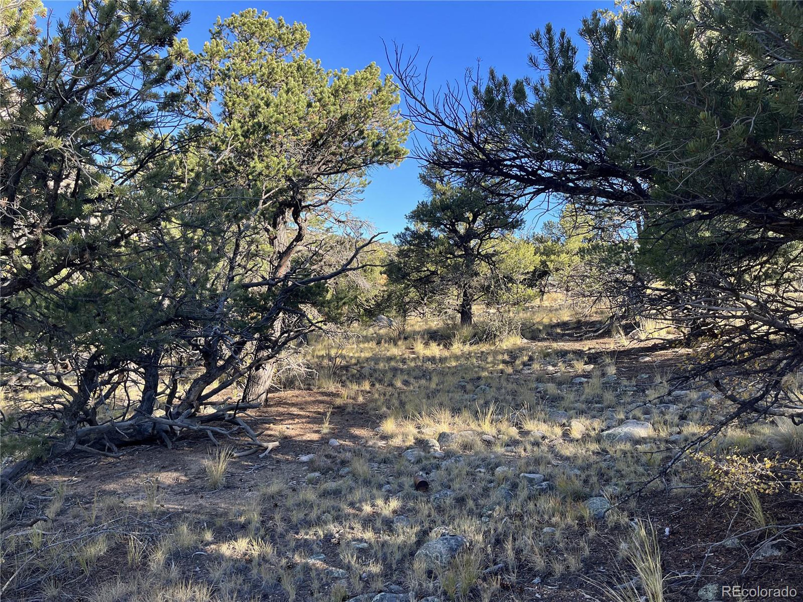 (TBD) TBD Chalk Creek Dr