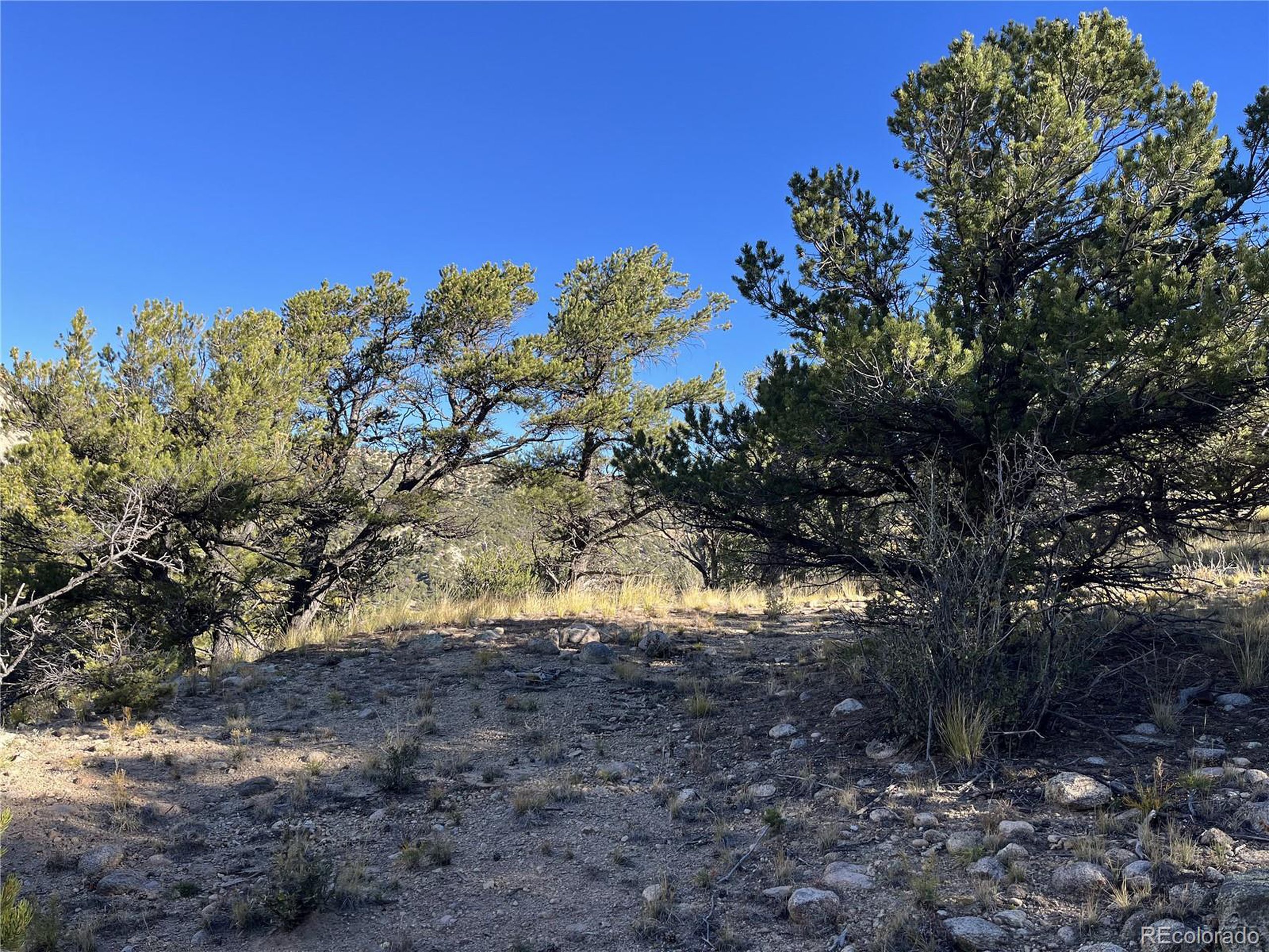 (TBD) TBD Chalk Creek Dr