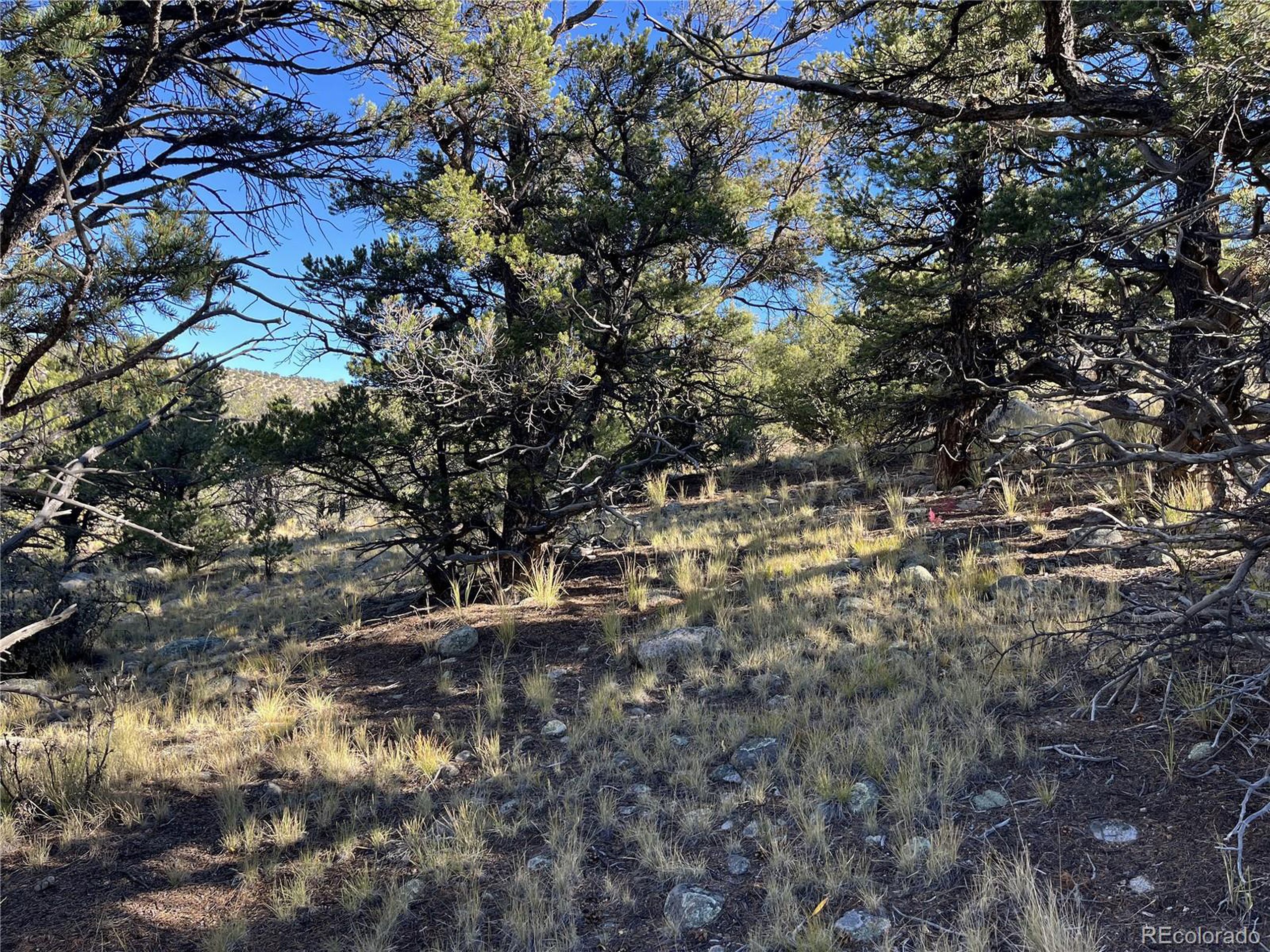 (TBD) TBD Chalk Creek Dr