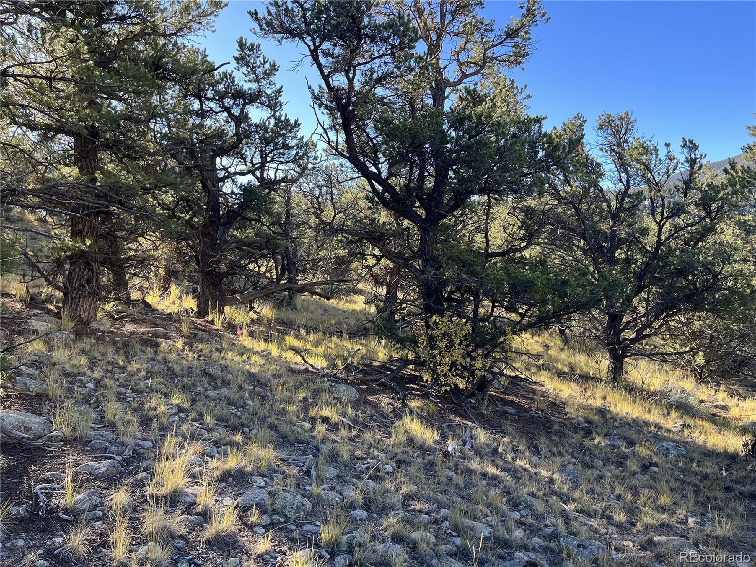 (TBD) TBD Chalk Creek Dr