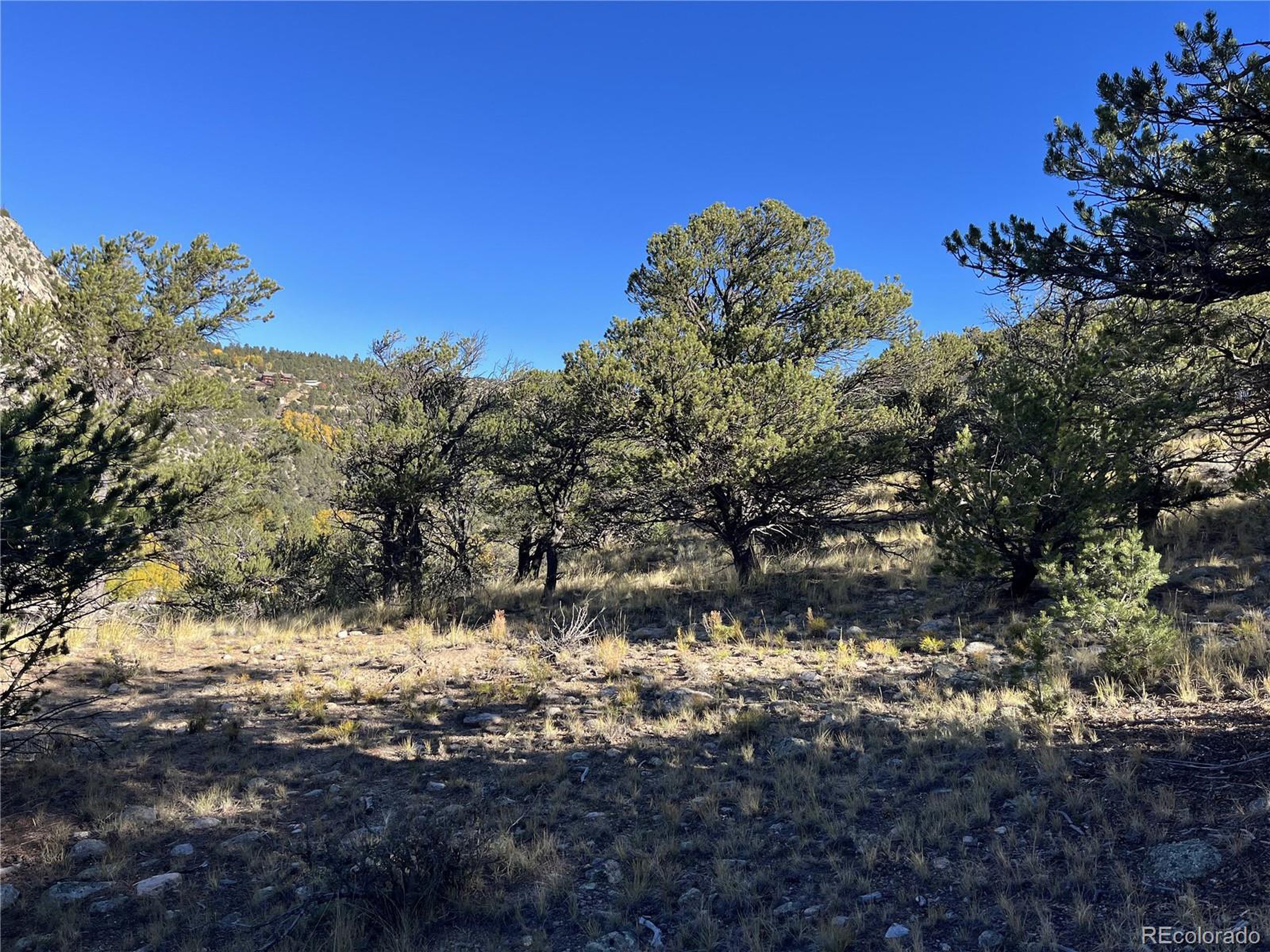 (TBD) TBD Chalk Creek Dr