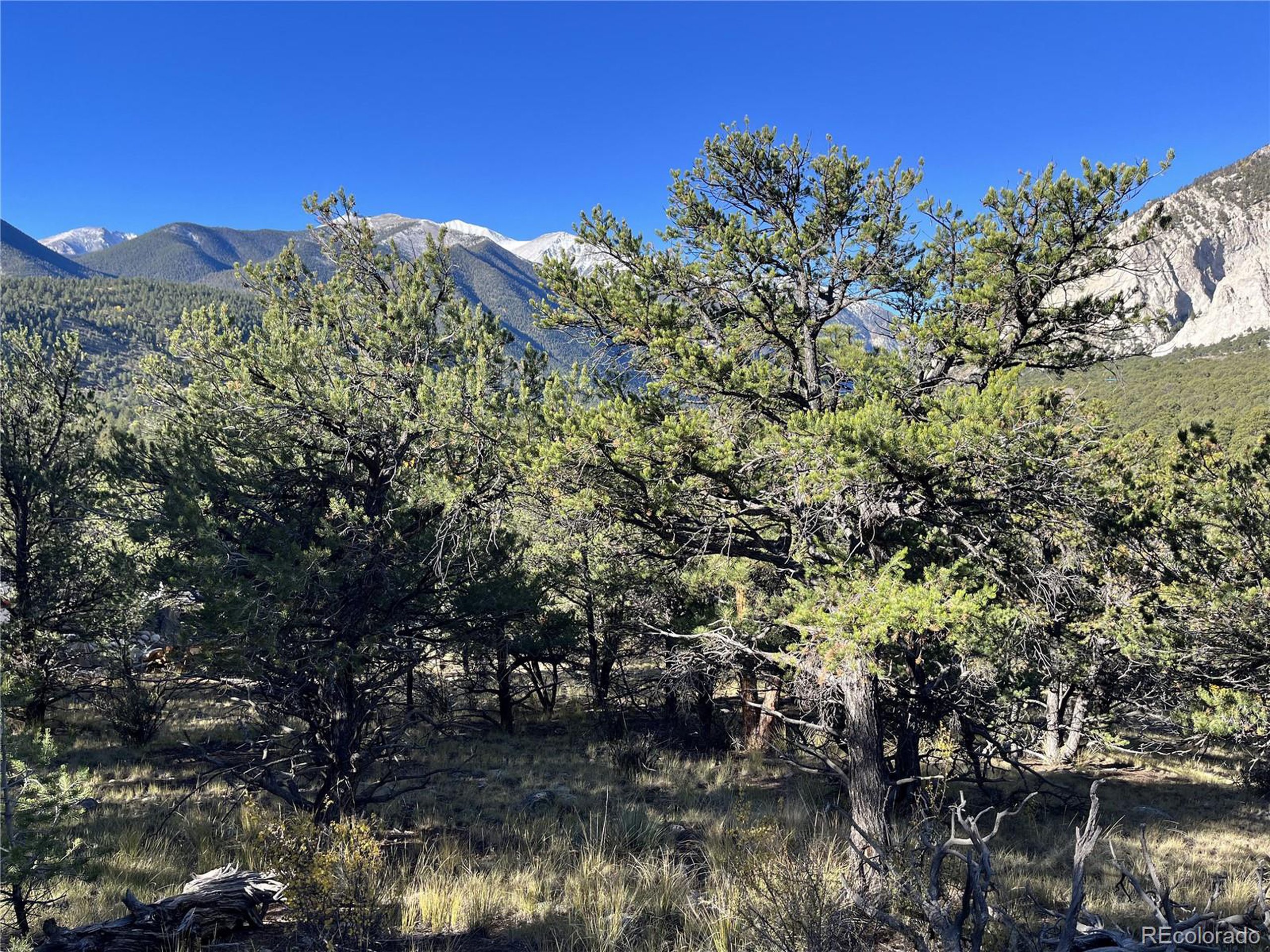 (TBD) TBD Chalk Creek Dr