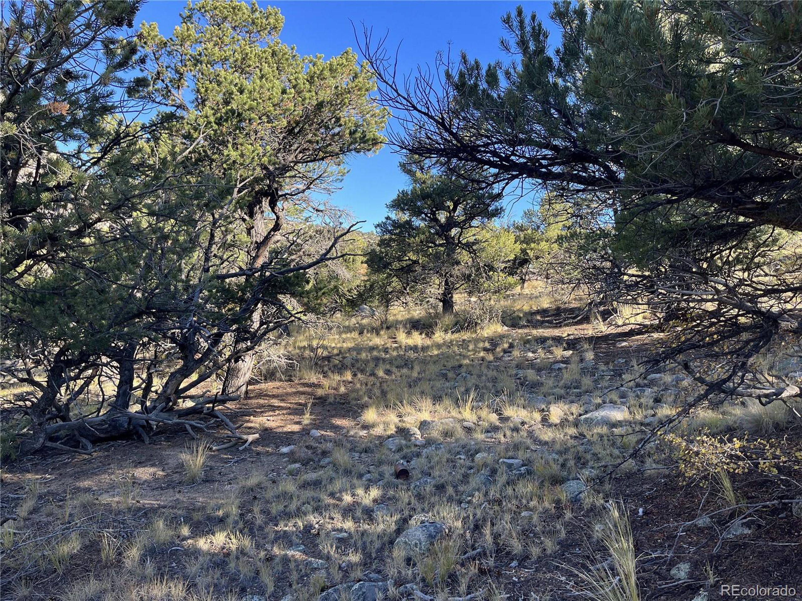 (TBD) TBD Chalk Creek Dr