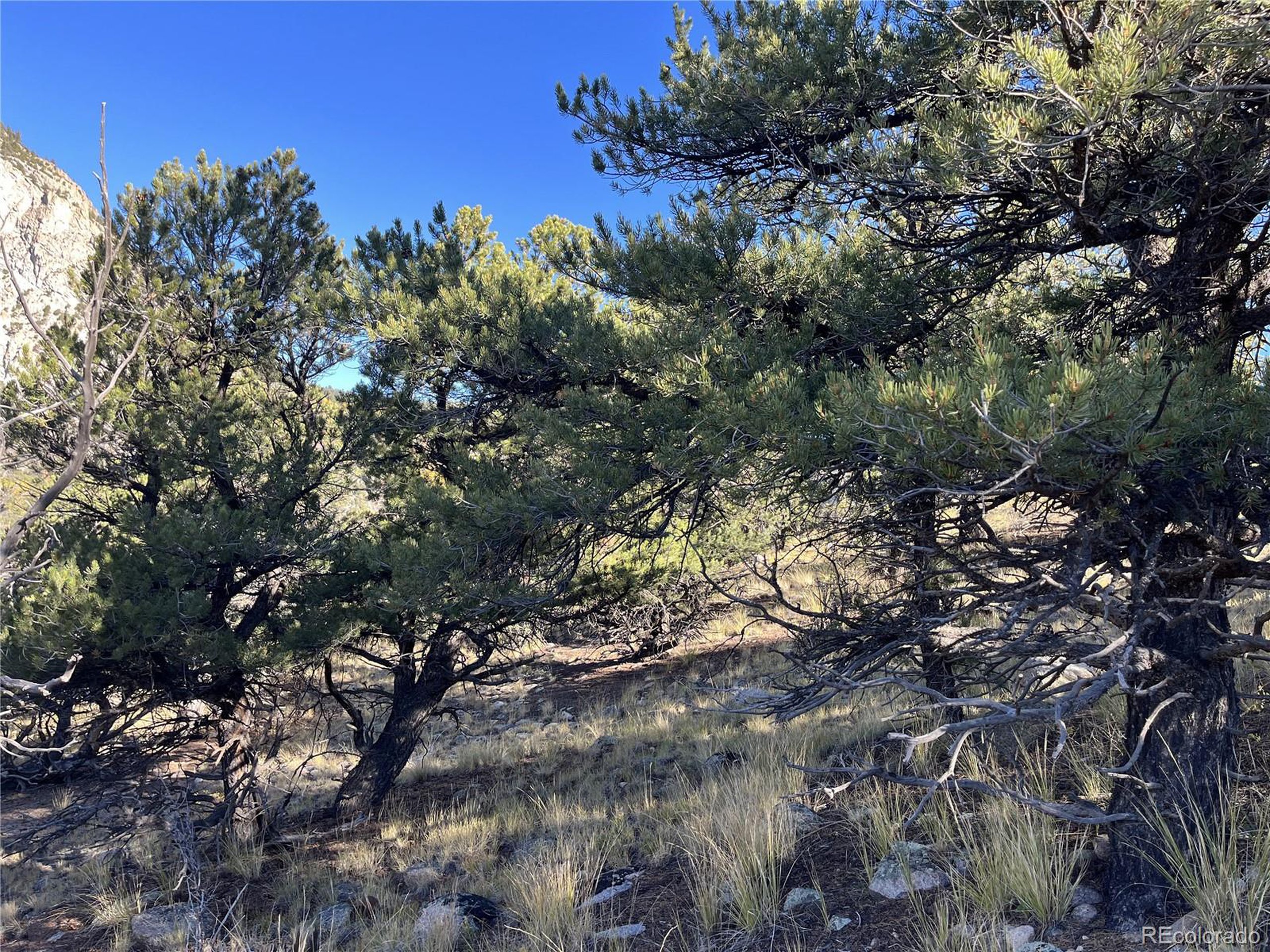 (TBD) TBD Chalk Creek Dr