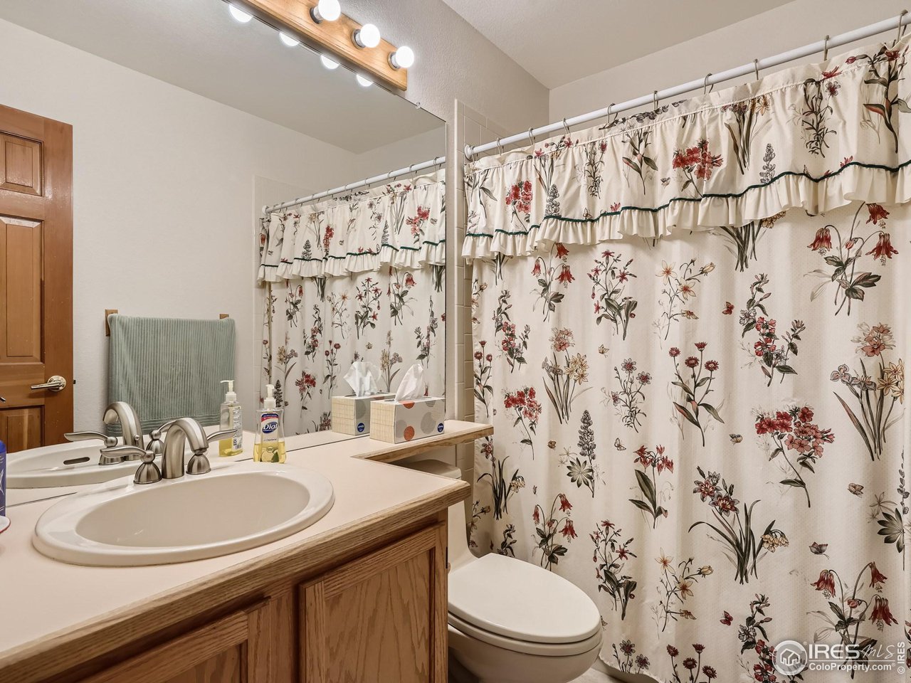 5458 Glendale Gulch Cir