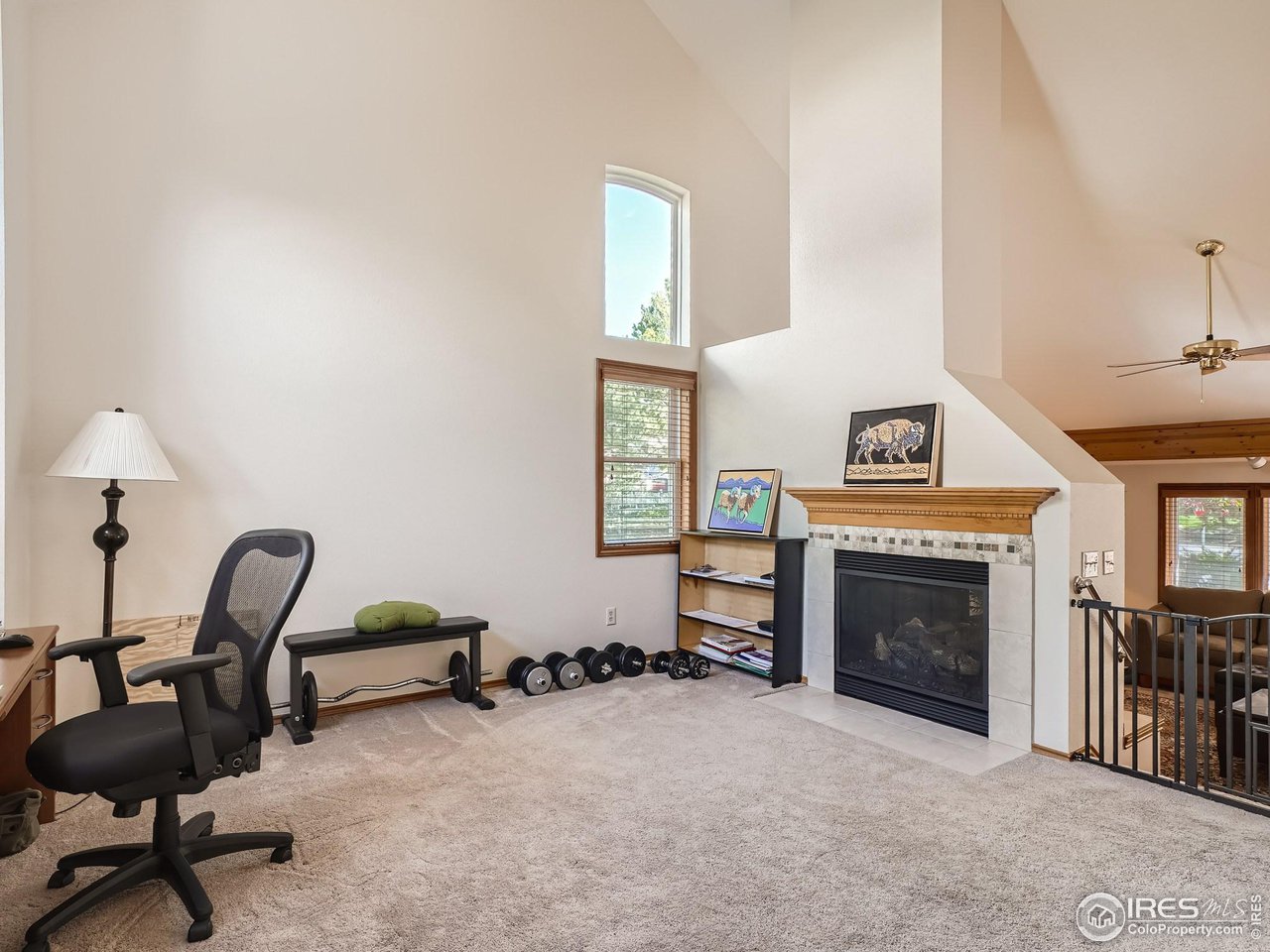 5458 Glendale Gulch Cir