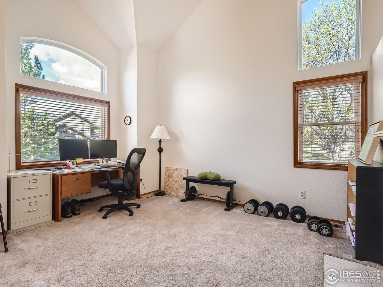 5458 Glendale Gulch Cir