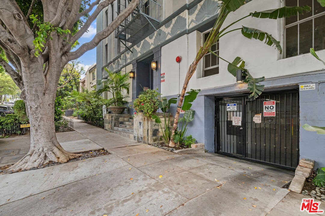 Apartment building entrance behind a gate, framed by a large shade tree and tropical plants.
