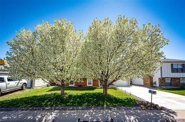 862 Centennial Way