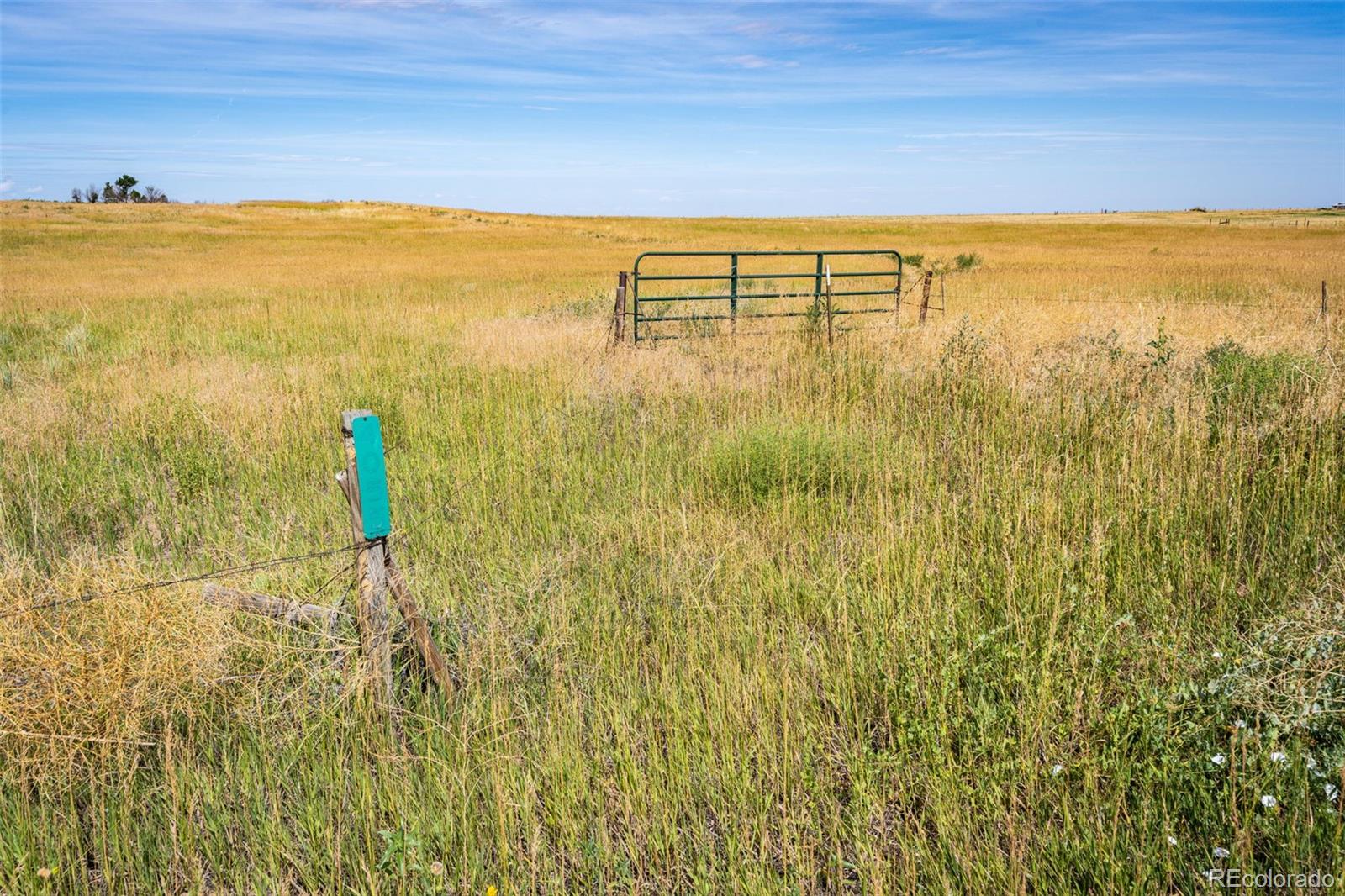 4055 S County Road 193