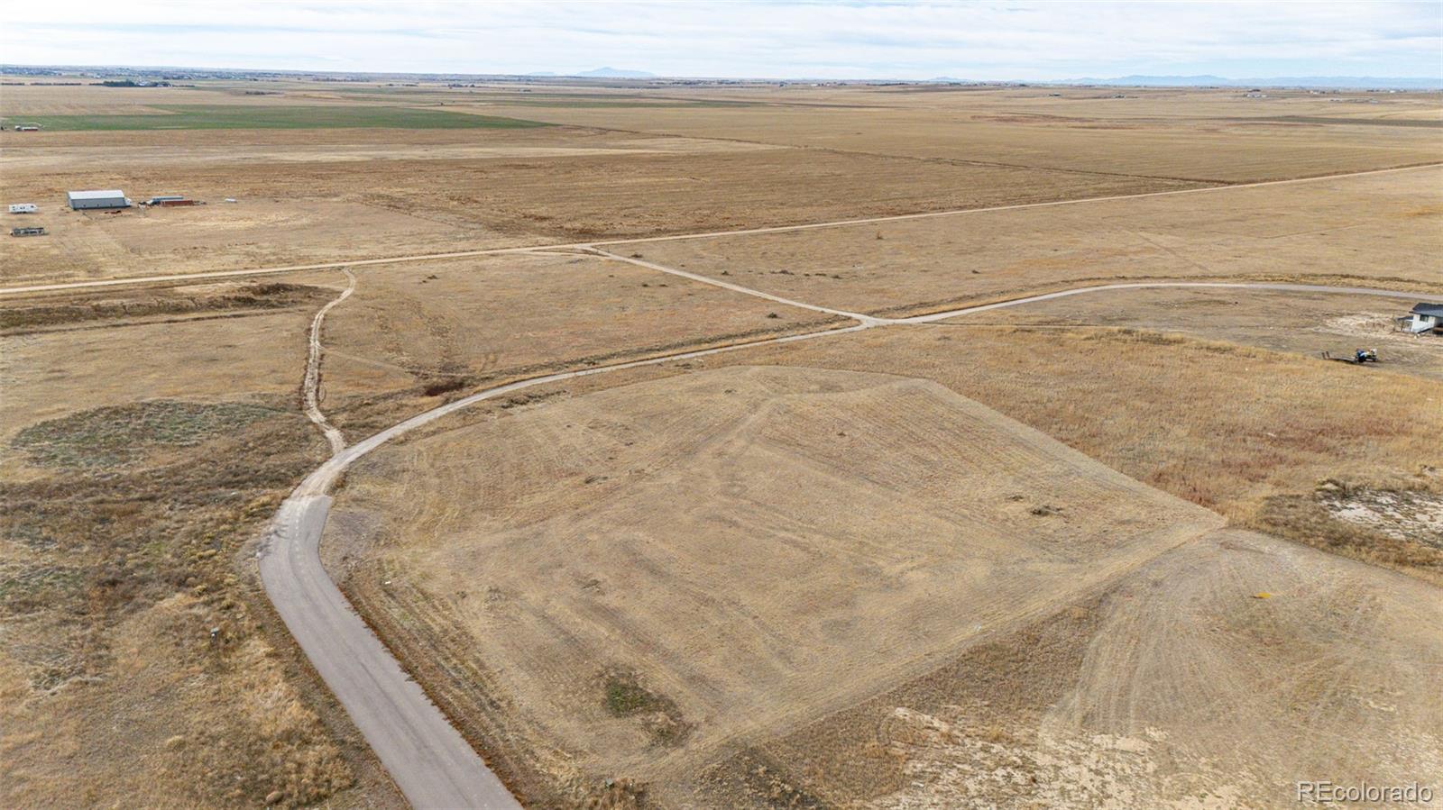 7341 Woodchest Street