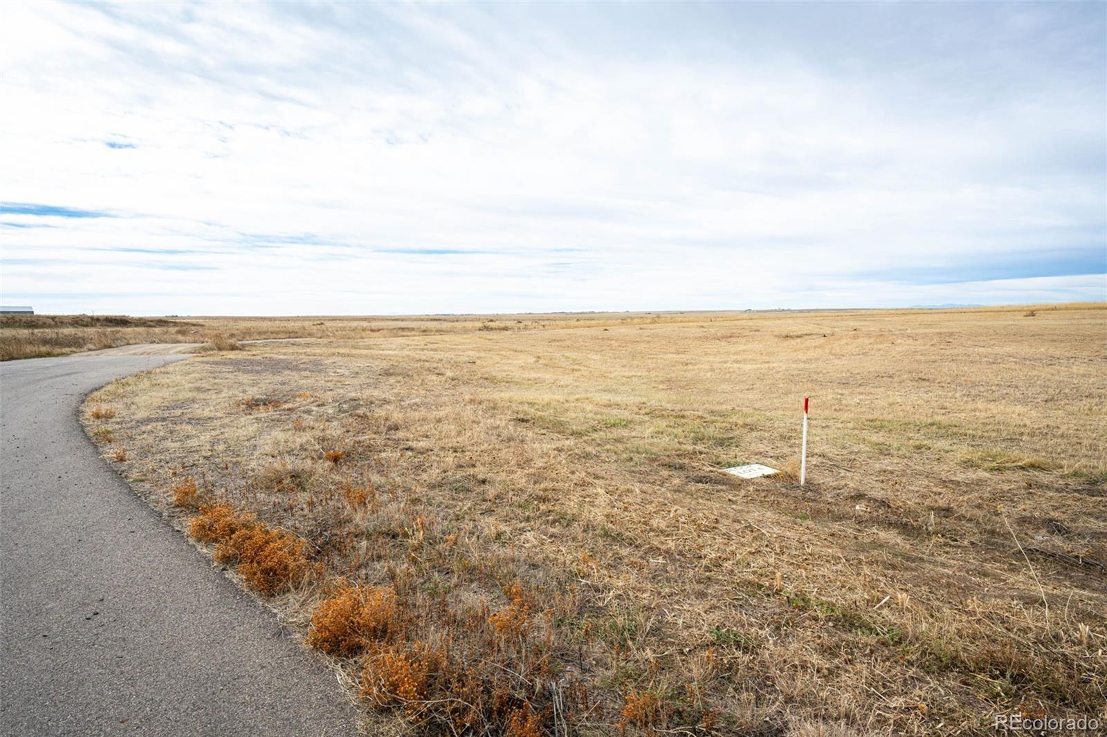 7341 Woodchest Street