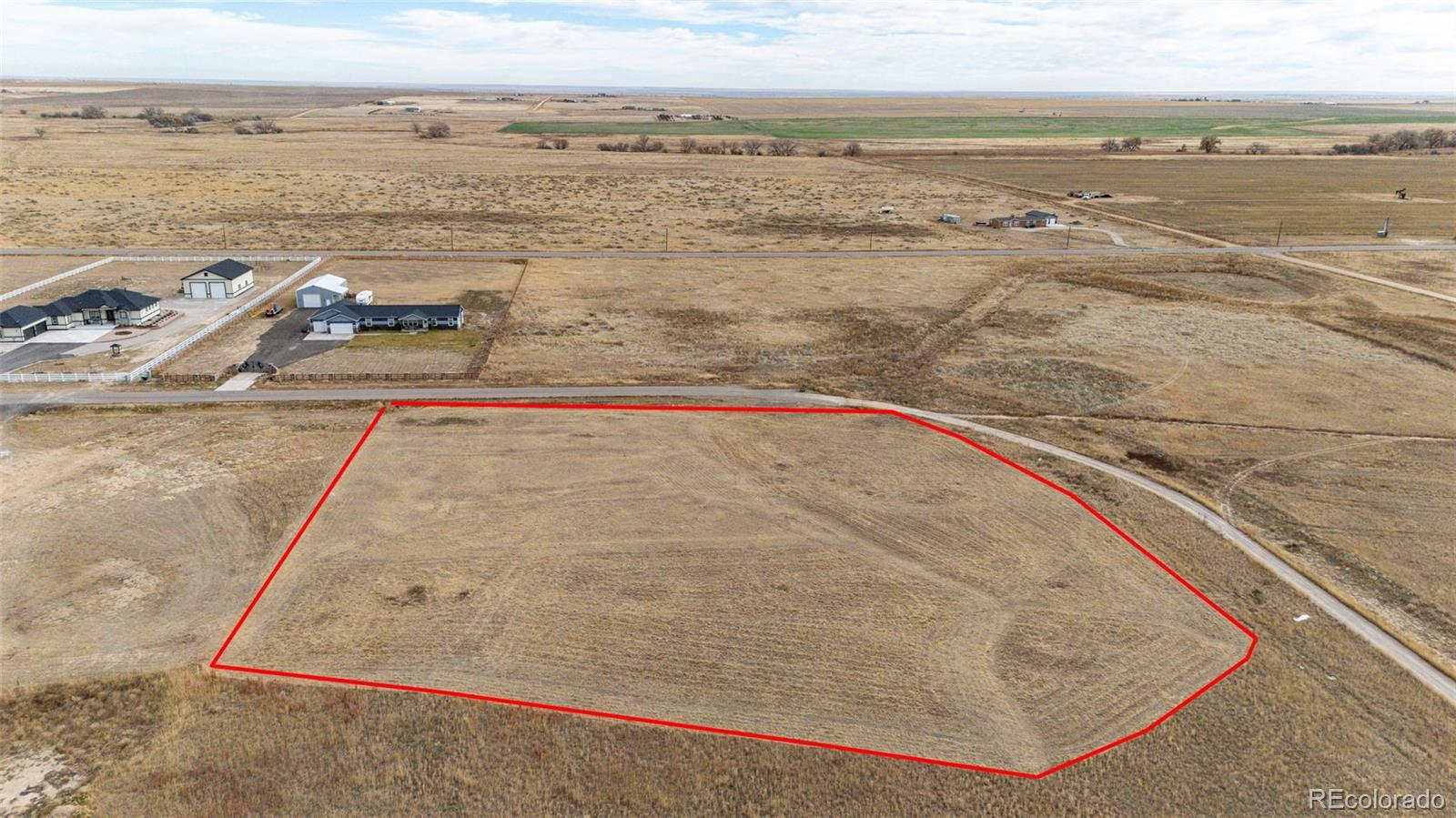 7341 Woodchest Street