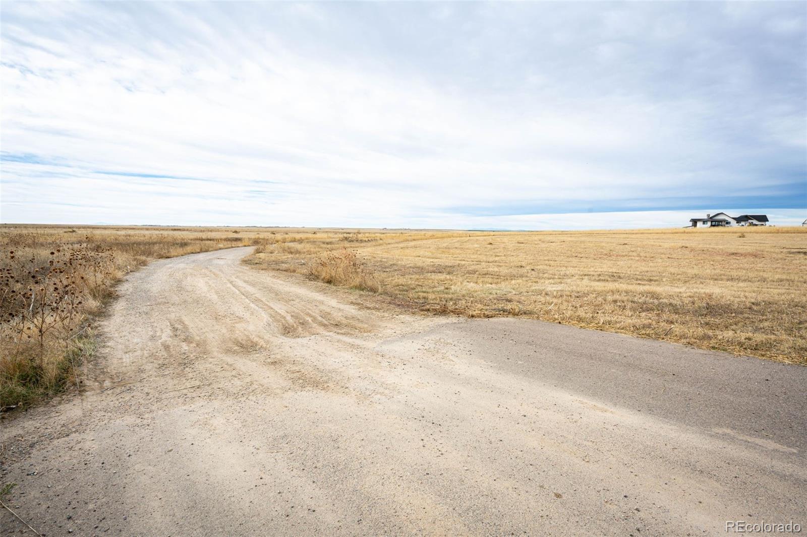 7341 Woodchest Street