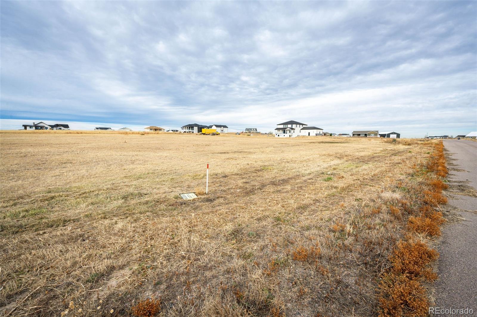 7341 Woodchest Street