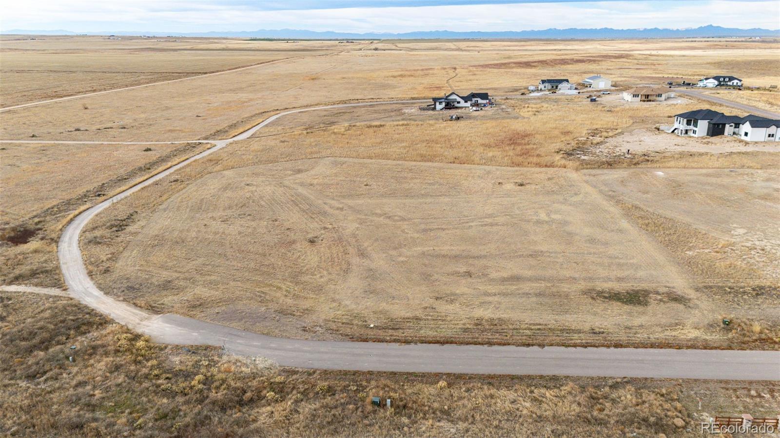 7341 Woodchest Street