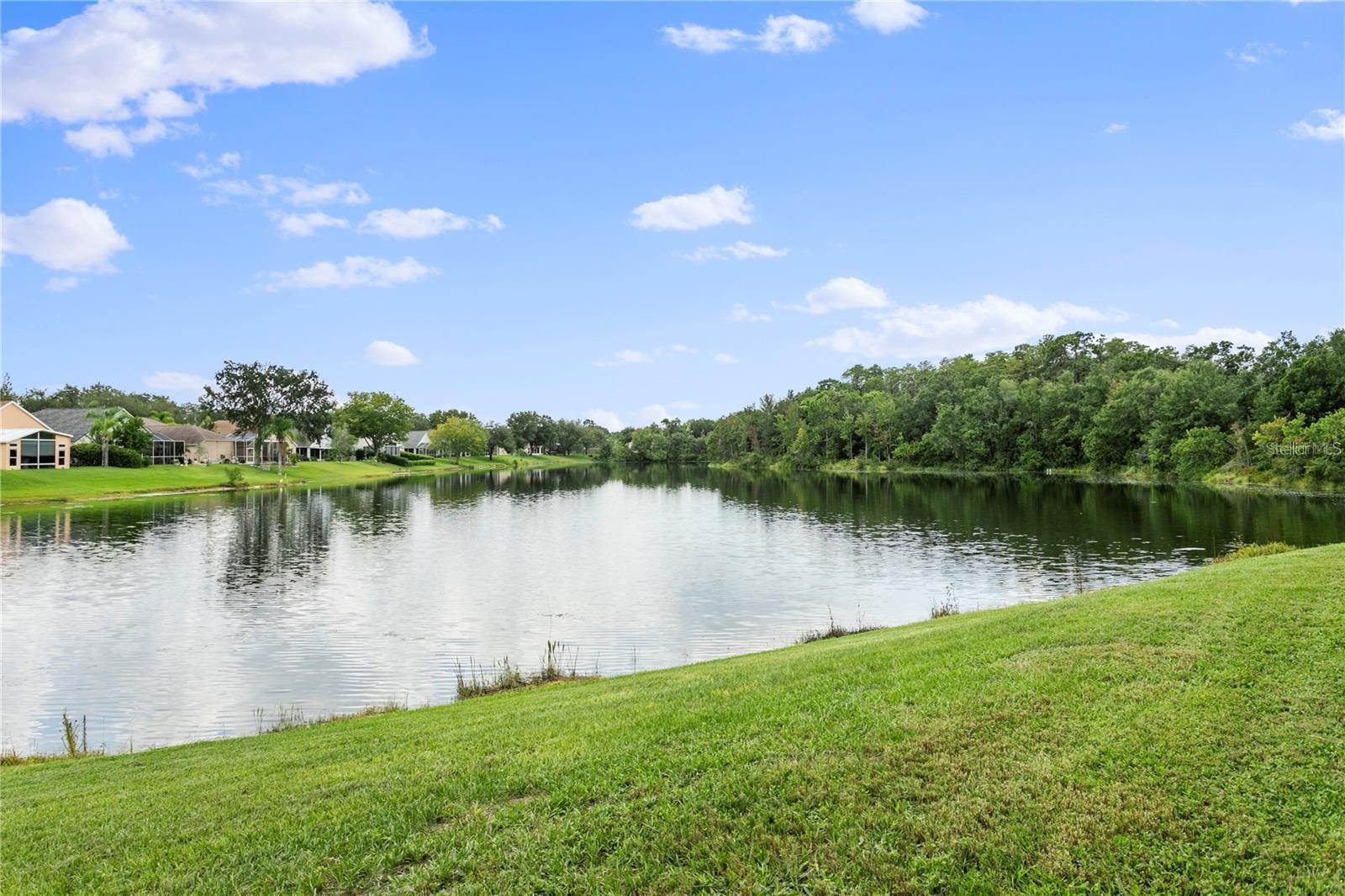 13439 STAGHORN RD
