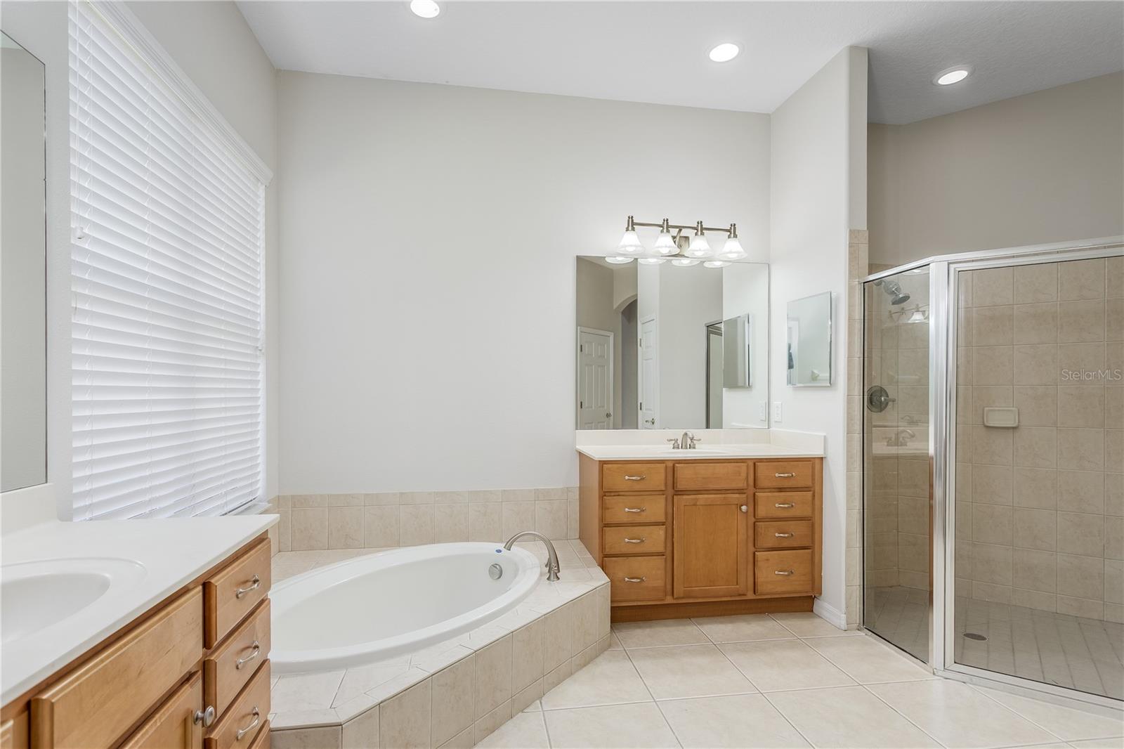 14517 MIRASOL MANOR CT